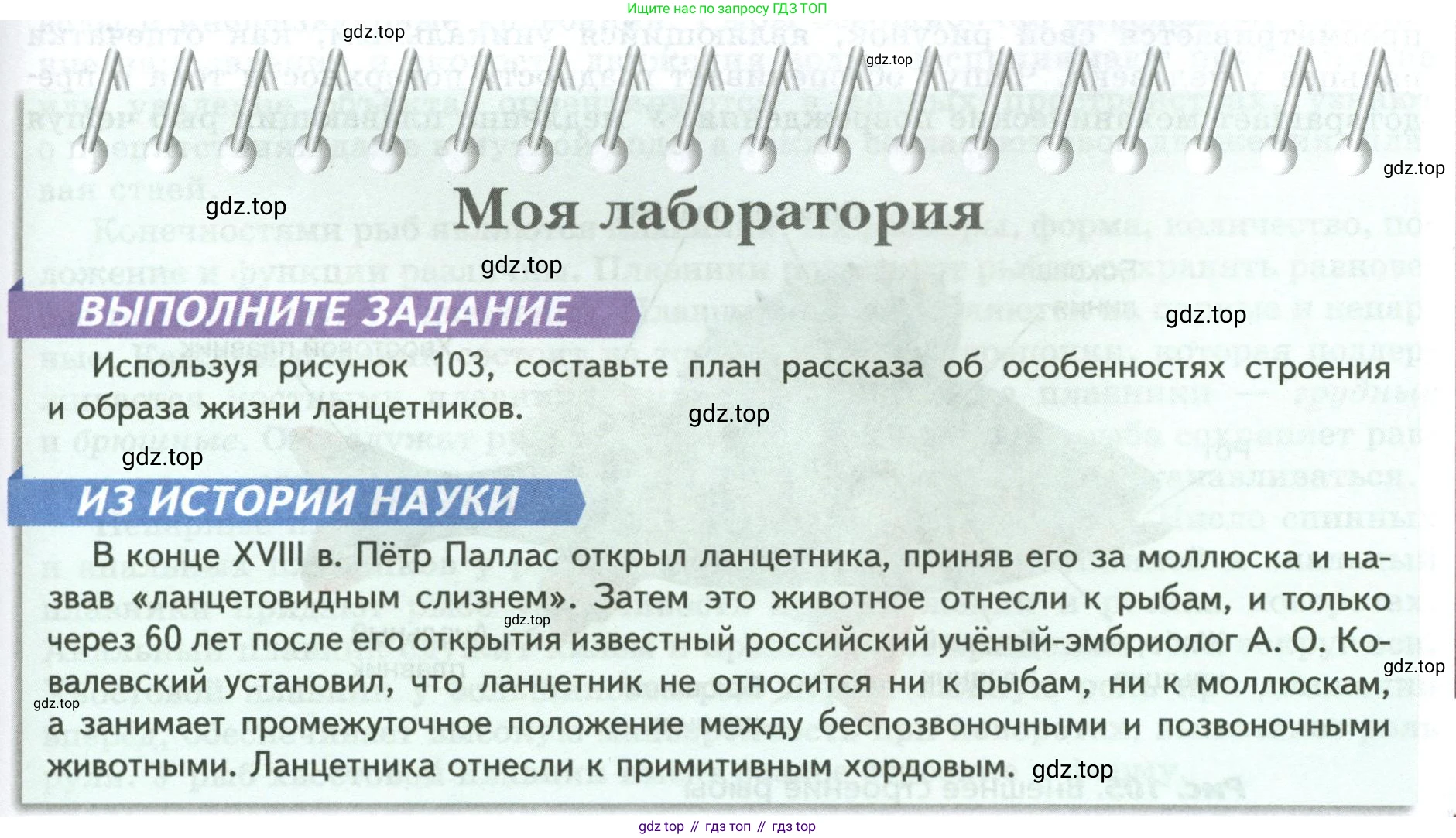 ГДЗ Биология, 8 класс Учебник, авторы: Пасечник Владимир Васильевич, Суматохин Сергей Витальевич, Гапонюк Зоя Георгиевна, издательство Просвещение, Москва, 2023, белого цвета, страница 143, Условие