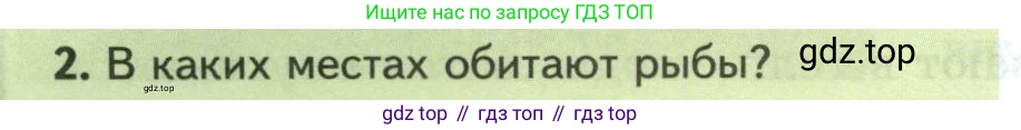 Биология, 8 класс Учебник, авторы: Пасечник Владимир Васильевич, Суматохин Сергей Витальевич, Гапонюк Зоя Георгиевна, издательство Просвещение, Москва, 2023, белого цвета, страница 144, номер 2, Условие