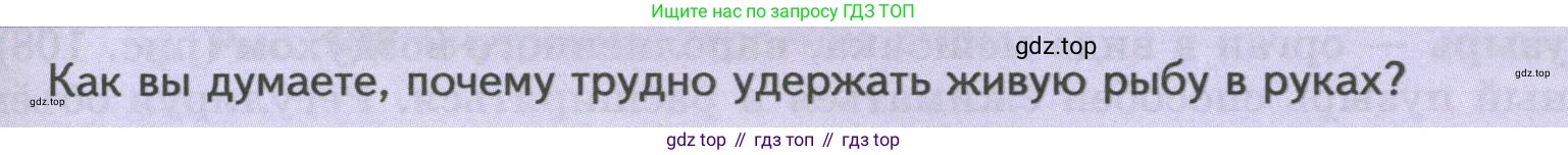 Биология, 8 класс Учебник, авторы: Пасечник Владимир Васильевич, Суматохин Сергей Витальевич, Гапонюк Зоя Георгиевна, издательство Просвещение, Москва, 2023, белого цвета, страница 147, Условие