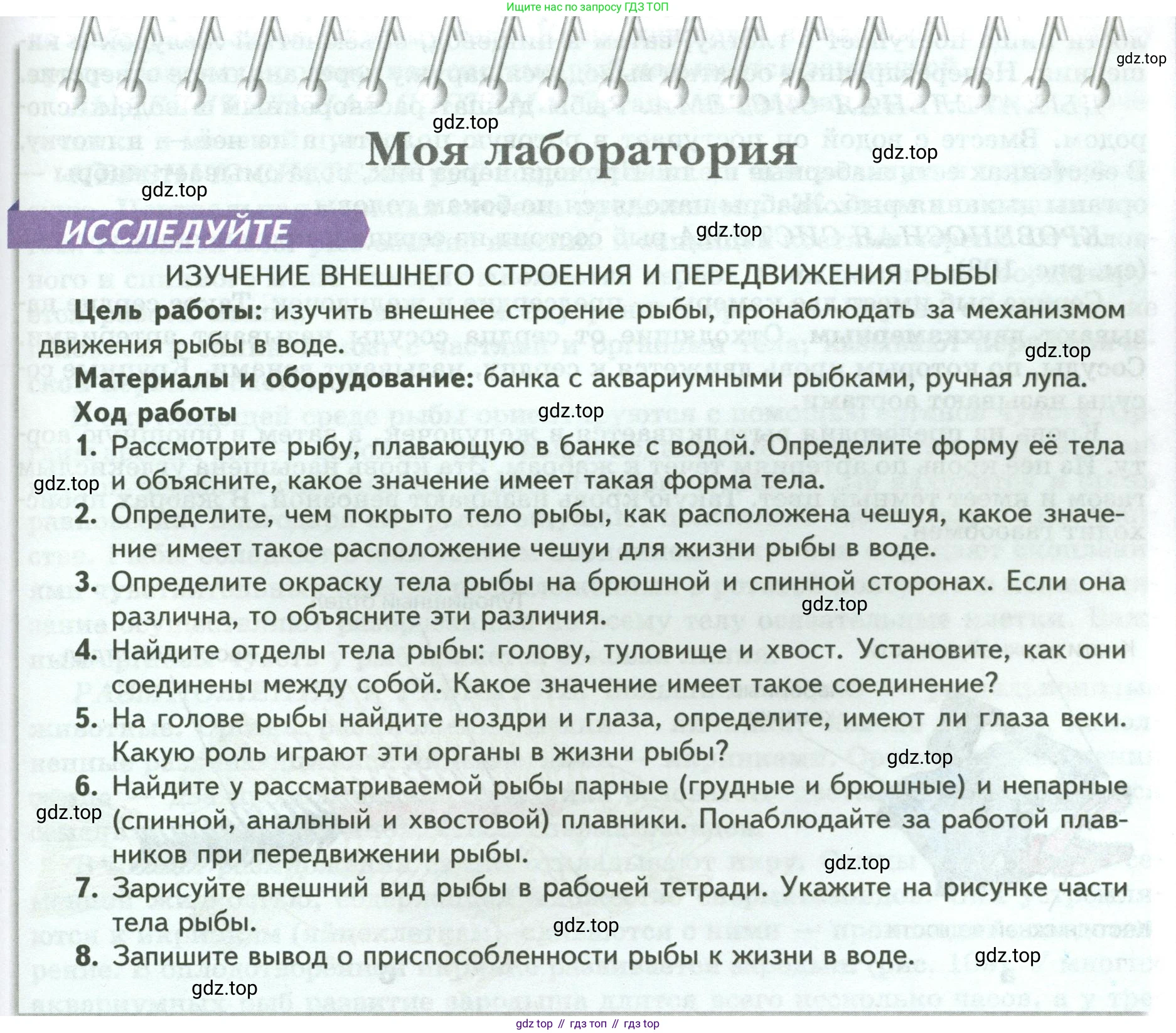 ГДЗ Биология, 8 класс Учебник, авторы: Пасечник Владимир Васильевич, Суматохин Сергей Витальевич, Гапонюк Зоя Георгиевна, издательство Просвещение, Москва, 2023, белого цвета, страница 147, Условие