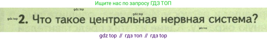 Биология, 8 класс Учебник, авторы: Пасечник Владимир Васильевич, Суматохин Сергей Витальевич, Гапонюк Зоя Георгиевна, издательство Просвещение, Москва, 2023, белого цвета, страница 148, номер 2, Условие