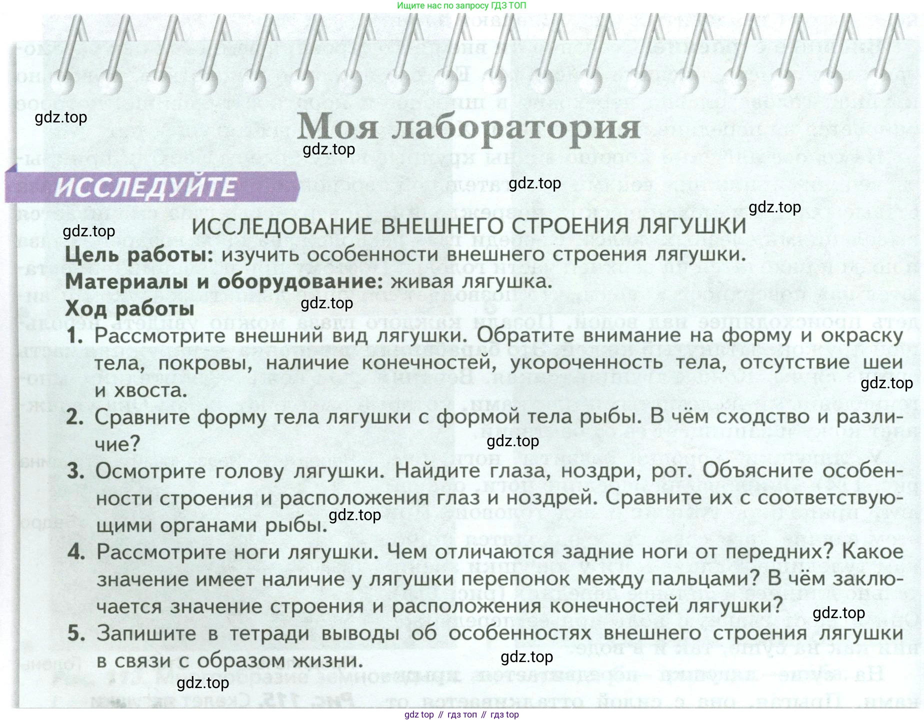 Биология, 8 класс Учебник, авторы: Пасечник Владимир Васильевич, Суматохин Сергей Витальевич, Гапонюк Зоя Георгиевна, издательство Просвещение, Москва, 2023, белого цвета, страница 162, Условие