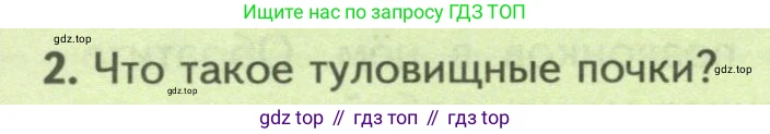 ГДЗ Биология, 8 класс Учебник, авторы: Пасечник Владимир Васильевич, Суматохин Сергей Витальевич, Гапонюк Зоя Георгиевна, издательство Просвещение, Москва, 2023, белого цвета, страница 164, номер 2, Условие