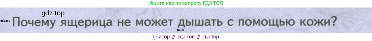 Биология, 8 класс Учебник, авторы: Пасечник Владимир Васильевич, Суматохин Сергей Витальевич, Гапонюк Зоя Георгиевна, издательство Просвещение, Москва, 2023, белого цвета, страница 169, Условие