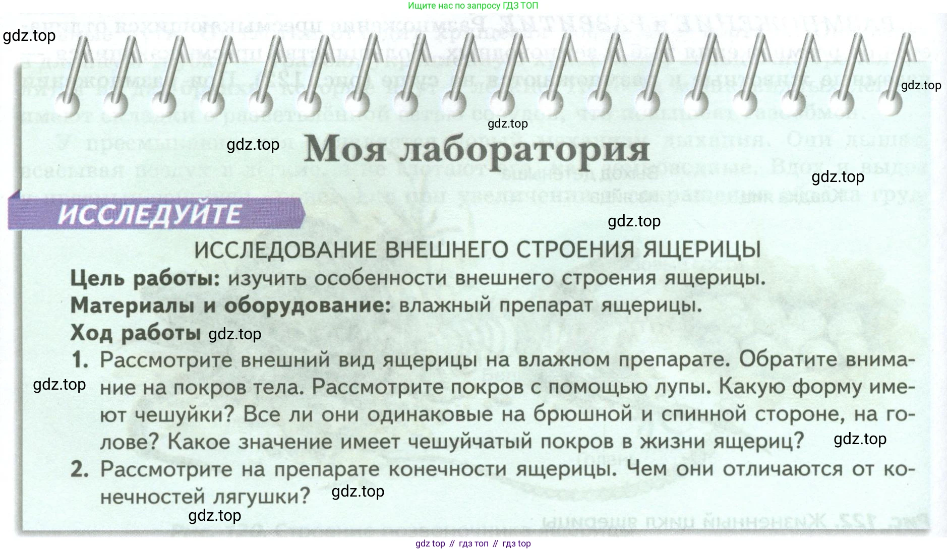 Биология, 8 класс Учебник, авторы: Пасечник Владимир Васильевич, Суматохин Сергей Витальевич, Гапонюк Зоя Георгиевна, издательство Просвещение, Москва, 2023, белого цвета, страница 172, Условие