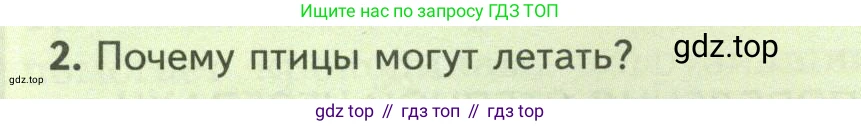 Биология, 8 класс Учебник, авторы: Пасечник Владимир Васильевич, Суматохин Сергей Витальевич, Гапонюк Зоя Георгиевна, издательство Просвещение, Москва, 2023, белого цвета, страница 178, номер 2, Условие