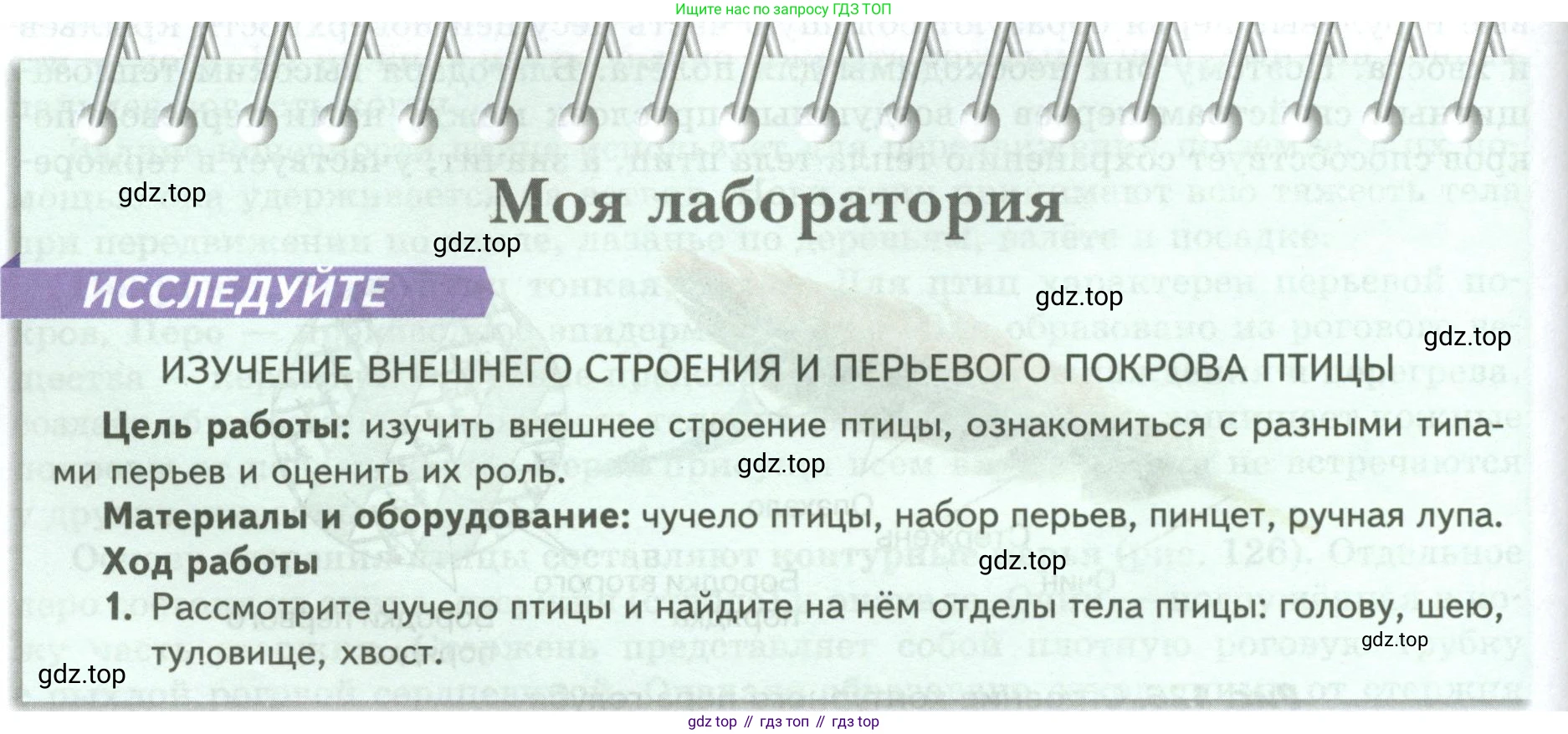 ГДЗ Биология, 8 класс Учебник, авторы: Пасечник Владимир Васильевич, Суматохин Сергей Витальевич, Гапонюк Зоя Георгиевна, издательство Просвещение, Москва, 2023, белого цвета, страница 180, Условие