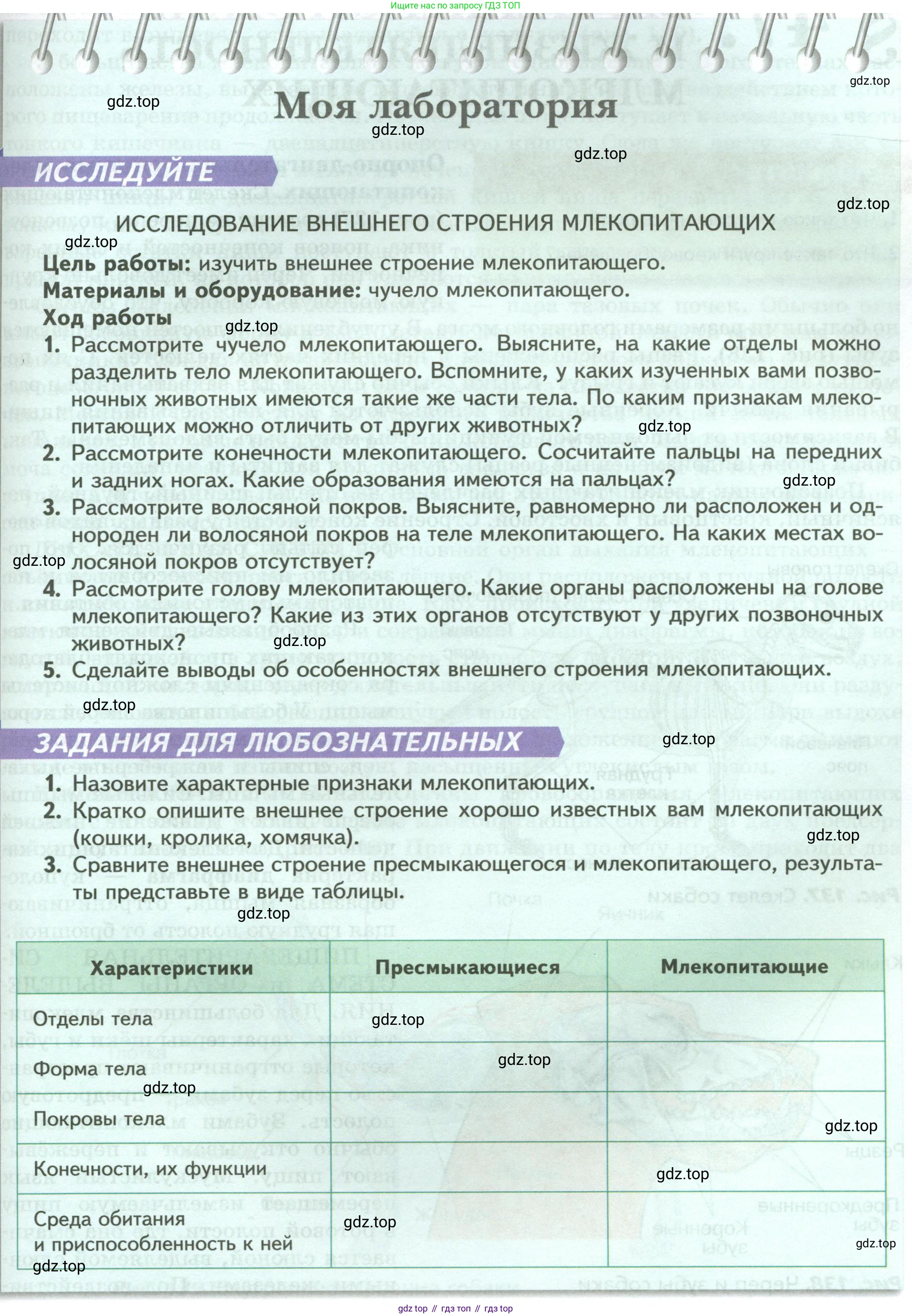 ГДЗ Биология, 8 класс Учебник, авторы: Пасечник Владимир Васильевич, Суматохин Сергей Витальевич, Гапонюк Зоя Георгиевна, издательство Просвещение, Москва, 2023, белого цвета, страница 197, Условие