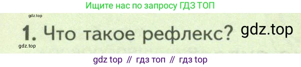 Биология, 8 класс Учебник, авторы: Пасечник Владимир Васильевич, Суматохин Сергей Витальевич, Гапонюк Зоя Георгиевна, издательство Просвещение, Москва, 2023, белого цвета, страница 202, номер 1, Условие
