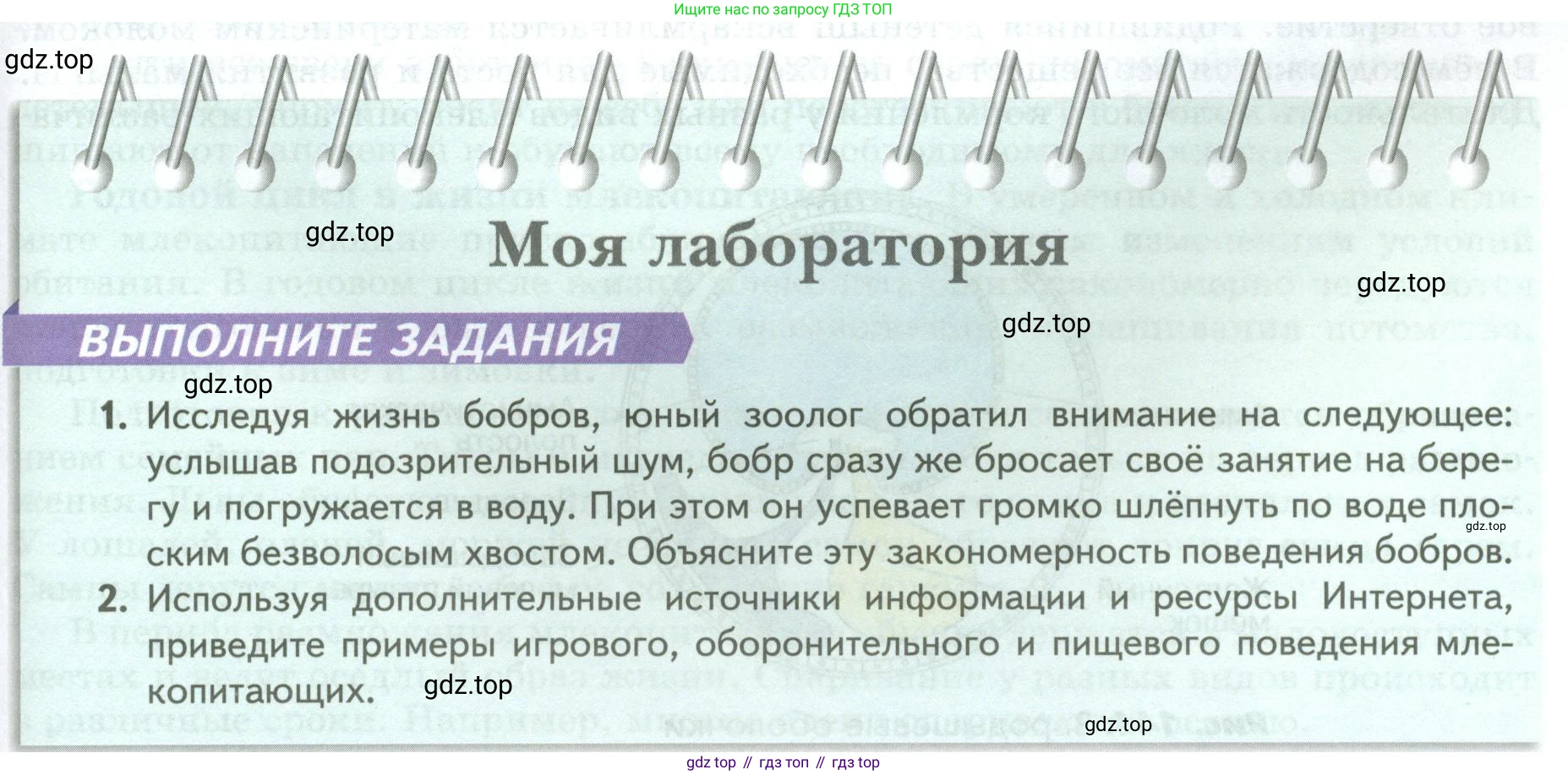 Биология, 8 класс Учебник, авторы: Пасечник Владимир Васильевич, Суматохин Сергей Витальевич, Гапонюк Зоя Георгиевна, издательство Просвещение, Москва, 2023, белого цвета, страница 205, Условие