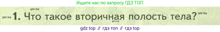 Биология, 8 класс Учебник, авторы: Пасечник Владимир Васильевич, Суматохин Сергей Витальевич, Гапонюк Зоя Георгиевна, издательство Просвещение, Москва, 2023, белого цвета, страница 226, номер 1, Условие