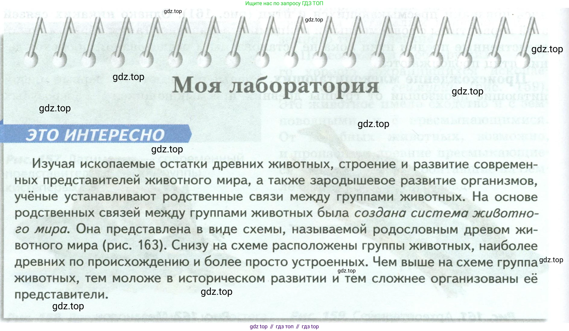 Биология, 8 класс Учебник, авторы: Пасечник Владимир Васильевич, Суматохин Сергей Витальевич, Гапонюк Зоя Георгиевна, издательство Просвещение, Москва, 2023, белого цвета, страница 230, Условие