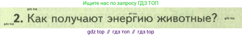 Биология, 8 класс Учебник, авторы: Пасечник Владимир Васильевич, Суматохин Сергей Витальевич, Гапонюк Зоя Георгиевна, издательство Просвещение, Москва, 2023, белого цвета, страница 240, номер 2, Условие