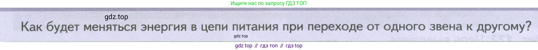 ГДЗ Биология, 8 класс Учебник, авторы: Пасечник Владимир Васильевич, Суматохин Сергей Витальевич, Гапонюк Зоя Георгиевна, издательство Просвещение, Москва, 2023, белого цвета, страница 242, Условие