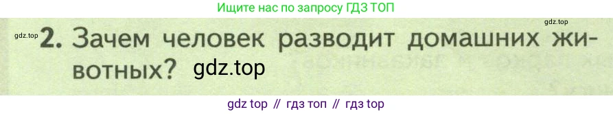 ГДЗ Биология, 8 класс Учебник, авторы: Пасечник Владимир Васильевич, Суматохин Сергей Витальевич, Гапонюк Зоя Георгиевна, издательство Просвещение, Москва, 2023, белого цвета, страница 256, номер 2, Условие