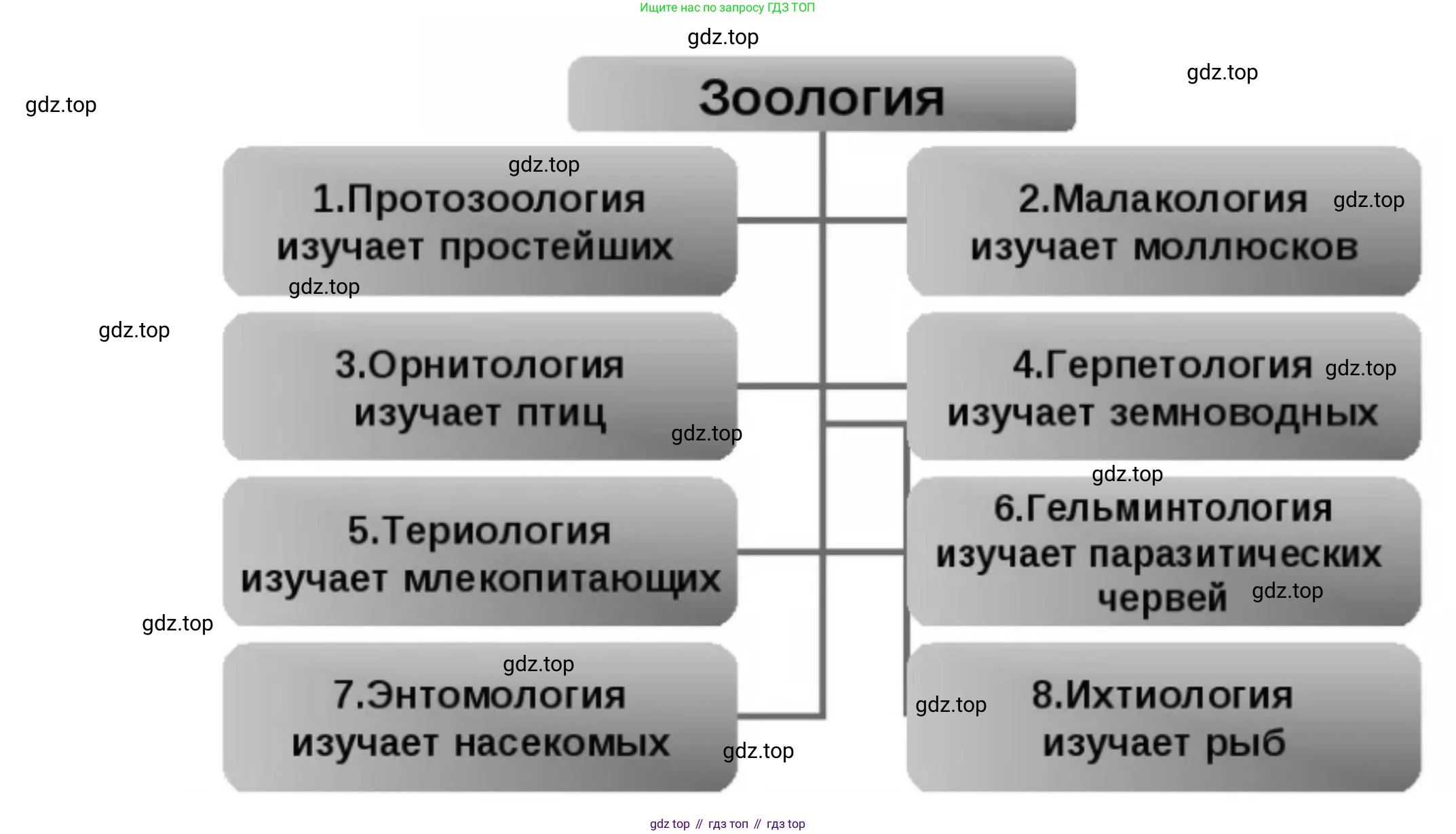 ГДЗ Биология, 8 класс Учебник, авторы: Пасечник Владимир Васильевич, Суматохин Сергей Витальевич, Гапонюк Зоя Георгиевна, издательство Просвещение, Москва, 2023, белого цвета, страница 9, номер 6, Решение (продолжение 2)