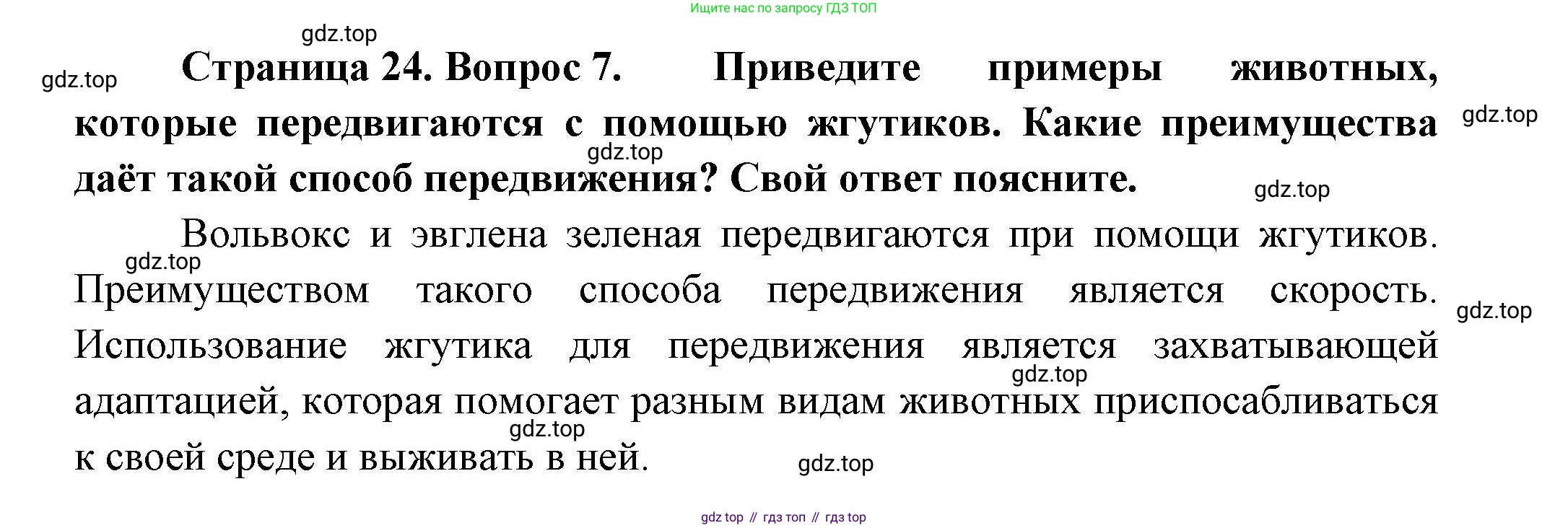 Биология, 8 класс Учебник, авторы: Пасечник Владимир Васильевич, Суматохин Сергей Витальевич, Гапонюк Зоя Георгиевна, издательство Просвещение, Москва, 2023, белого цвета, страница 24, номер 7, Решение