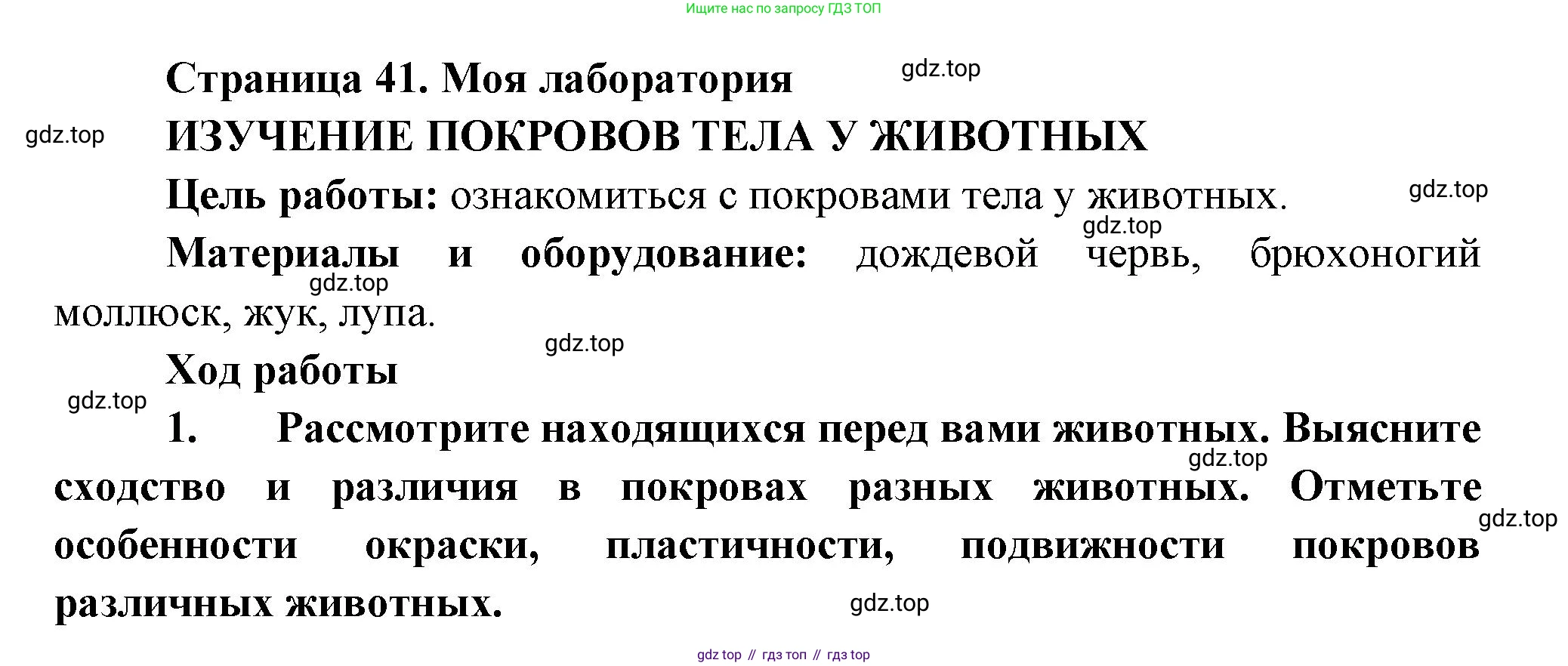 ГДЗ Биология, 8 класс Учебник, авторы: Пасечник Владимир Васильевич, Суматохин Сергей Витальевич, Гапонюк Зоя Георгиевна, издательство Просвещение, Москва, 2023, белого цвета, страница 41, Решение