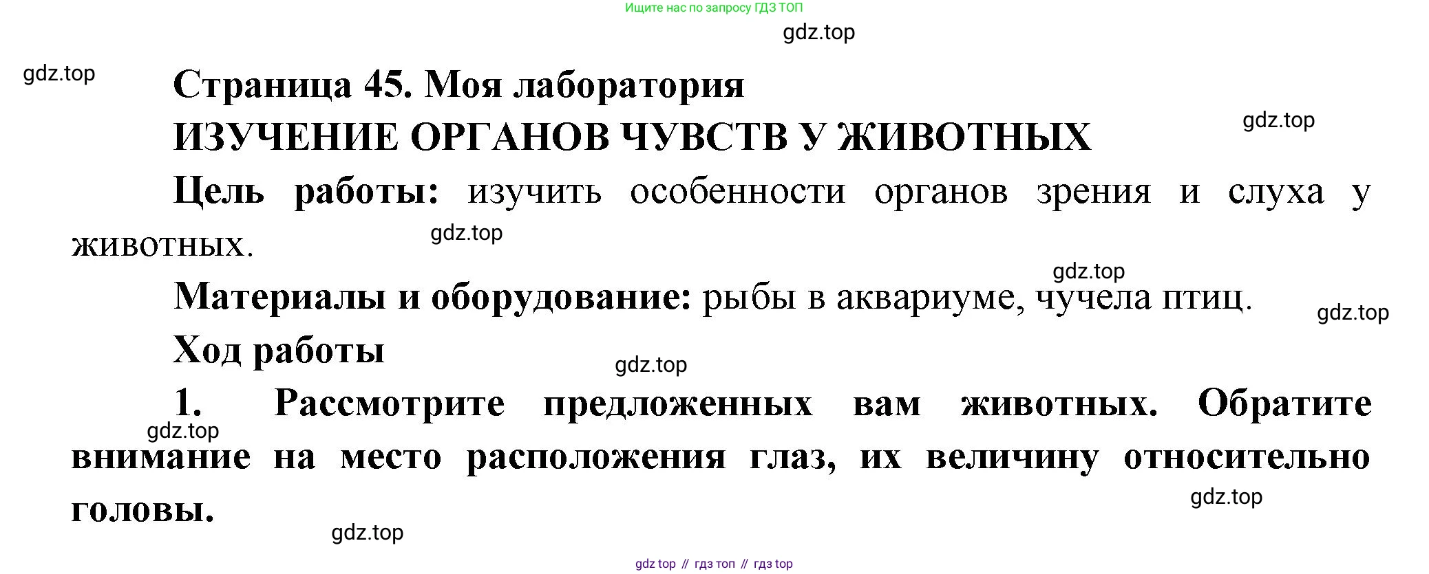 ГДЗ Биология, 8 класс Учебник, авторы: Пасечник Владимир Васильевич, Суматохин Сергей Витальевич, Гапонюк Зоя Георгиевна, издательство Просвещение, Москва, 2023, белого цвета, страница 45, Решение