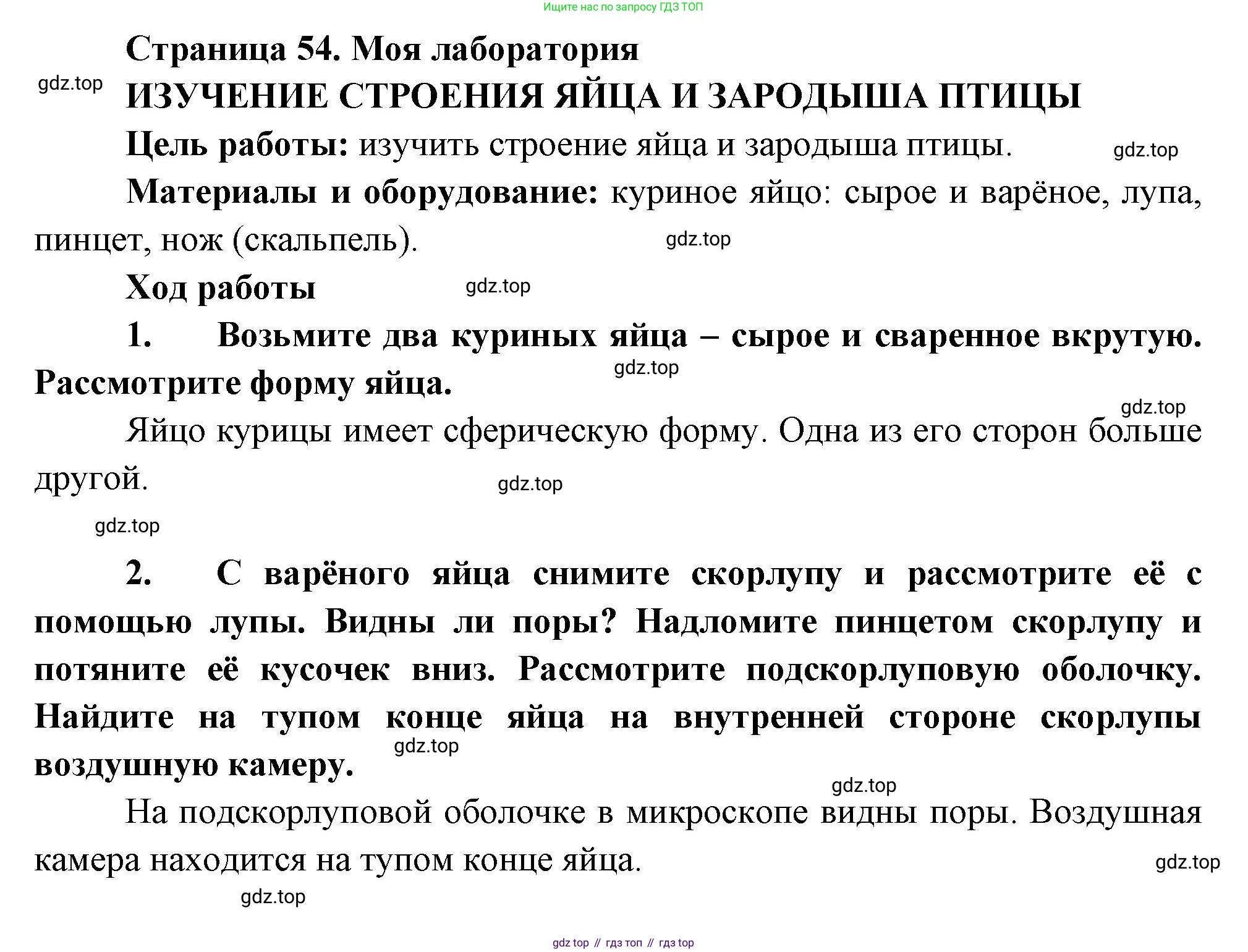 Биология, 8 класс Учебник, авторы: Пасечник Владимир Васильевич, Суматохин Сергей Витальевич, Гапонюк Зоя Георгиевна, издательство Просвещение, Москва, 2023, белого цвета, страница 54, Решение