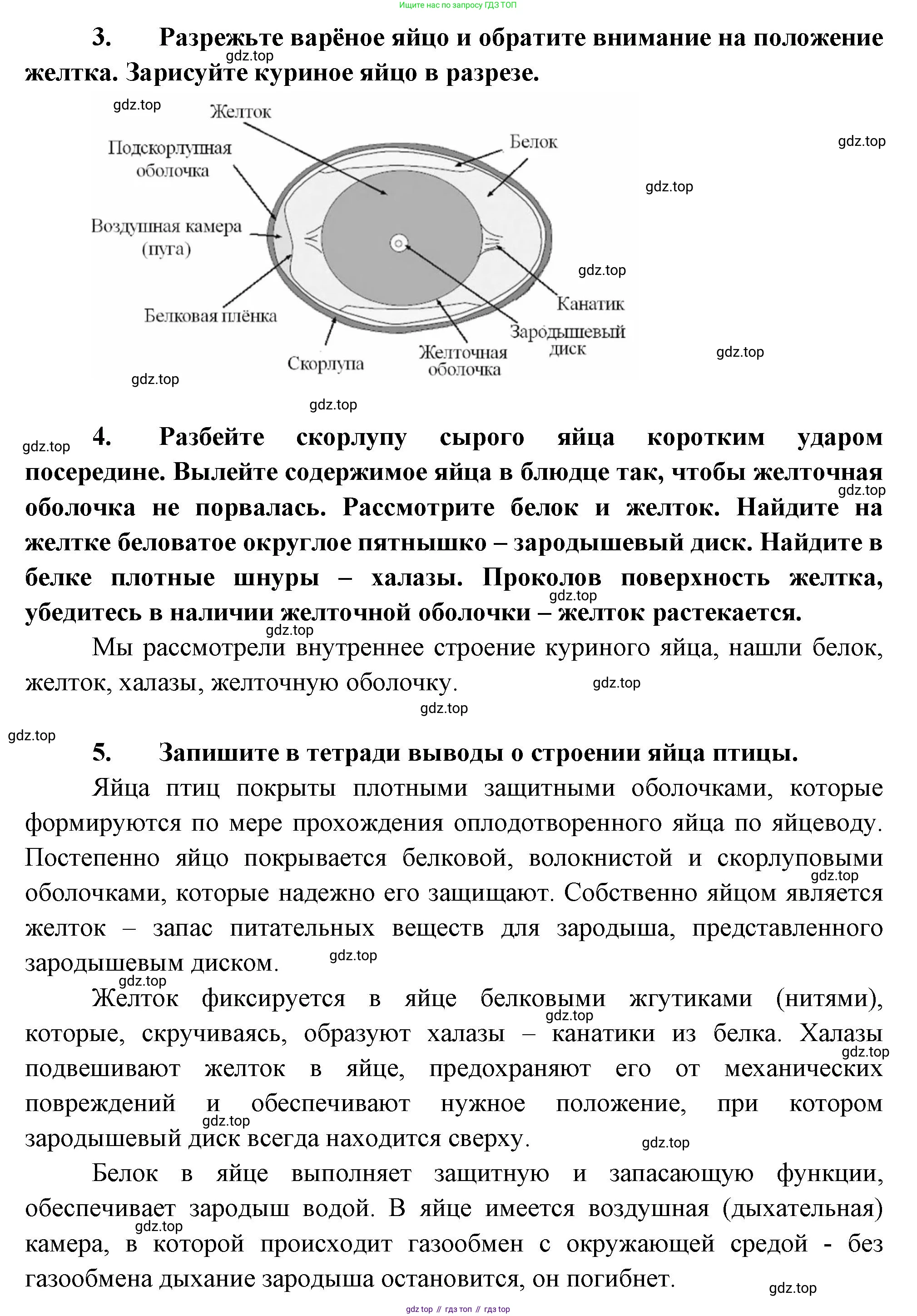 Биология, 8 класс Учебник, авторы: Пасечник Владимир Васильевич, Суматохин Сергей Витальевич, Гапонюк Зоя Георгиевна, издательство Просвещение, Москва, 2023, белого цвета, страница 54, Решение (продолжение 2)