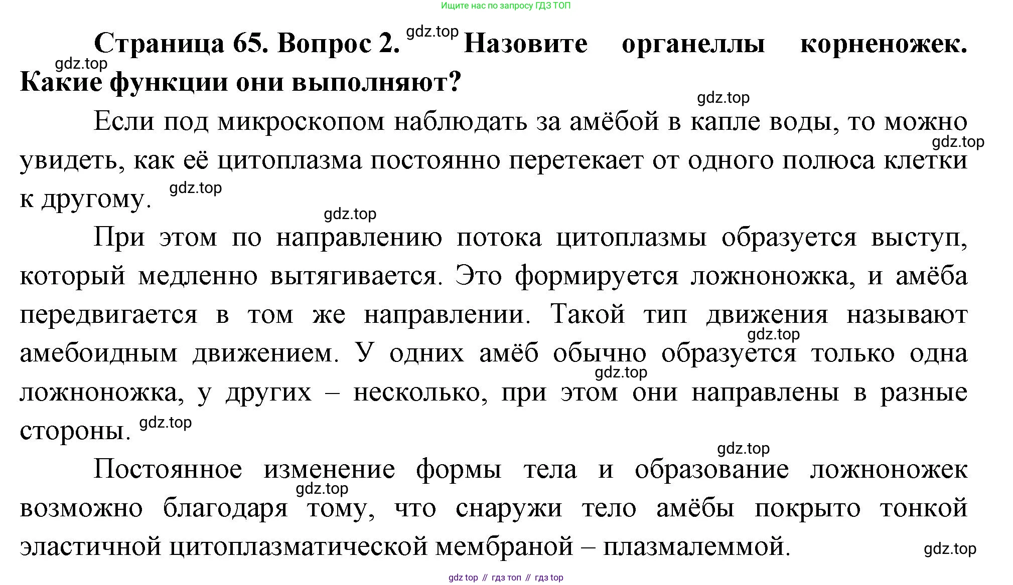 ГДЗ Биология, 8 класс Учебник, авторы: Пасечник Владимир Васильевич, Суматохин Сергей Витальевич, Гапонюк Зоя Георгиевна, издательство Просвещение, Москва, 2023, белого цвета, страница 65, номер 2, Решение