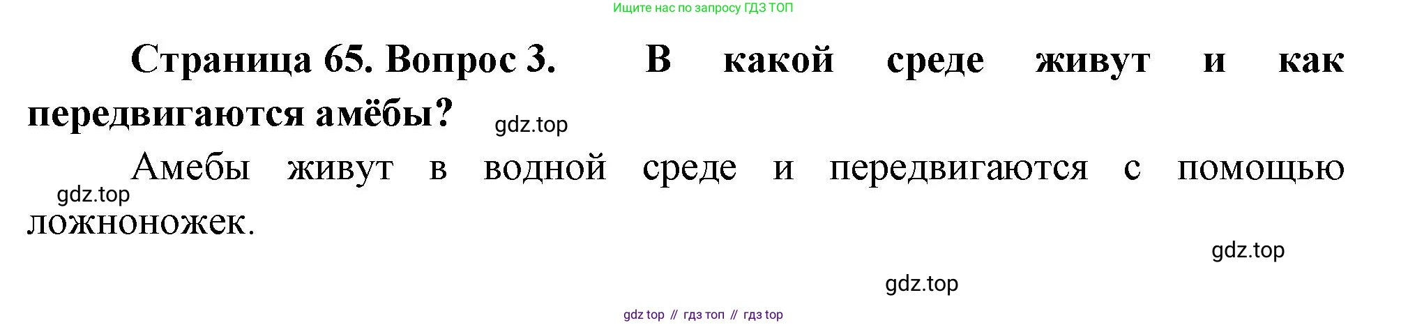 ГДЗ Биология, 8 класс Учебник, авторы: Пасечник Владимир Васильевич, Суматохин Сергей Витальевич, Гапонюк Зоя Георгиевна, издательство Просвещение, Москва, 2023, белого цвета, страница 65, номер 3, Решение