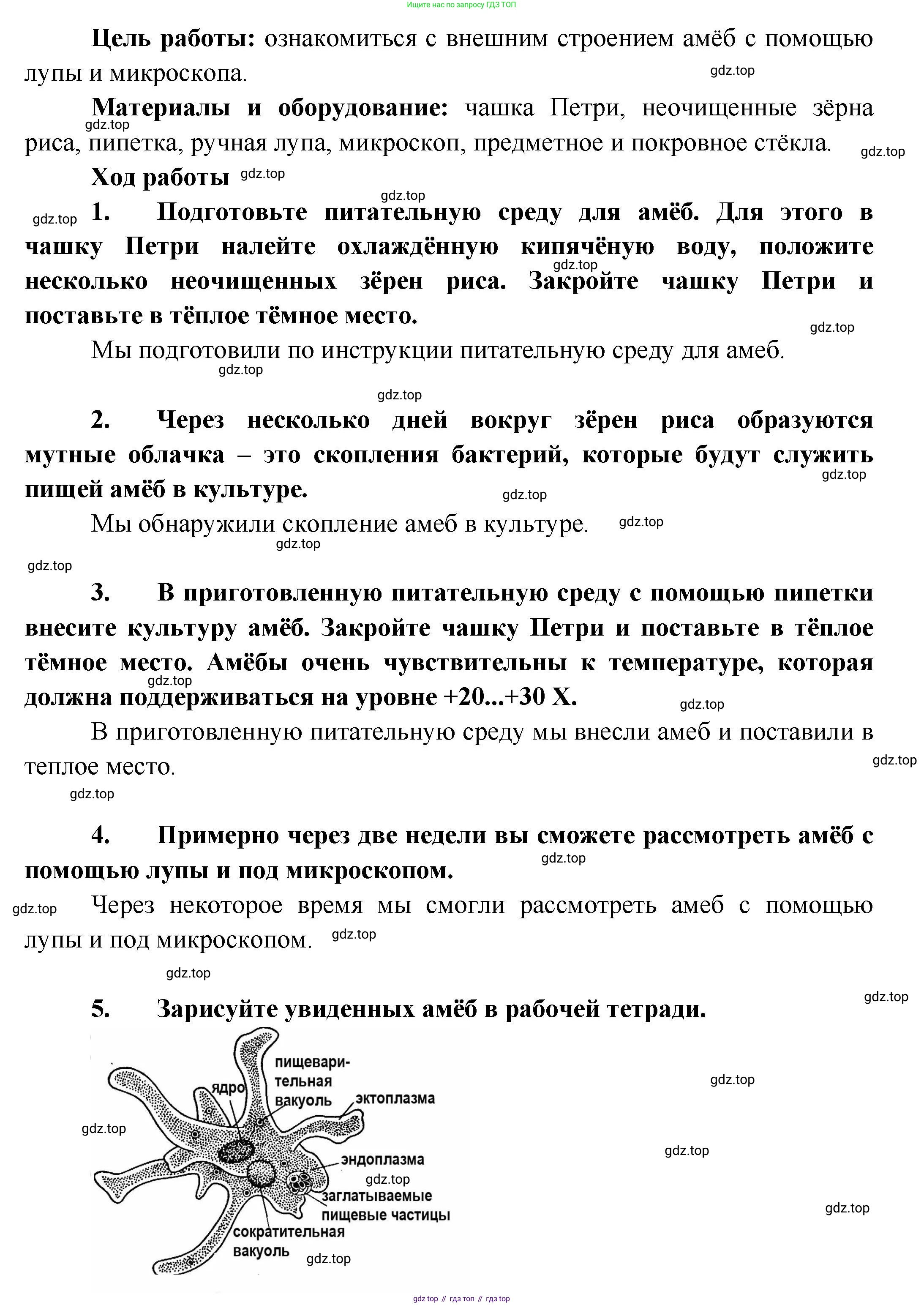 Биология, 8 класс Учебник, авторы: Пасечник Владимир Васильевич, Суматохин Сергей Витальевич, Гапонюк Зоя Георгиевна, издательство Просвещение, Москва, 2023, белого цвета, страница 65, Решение