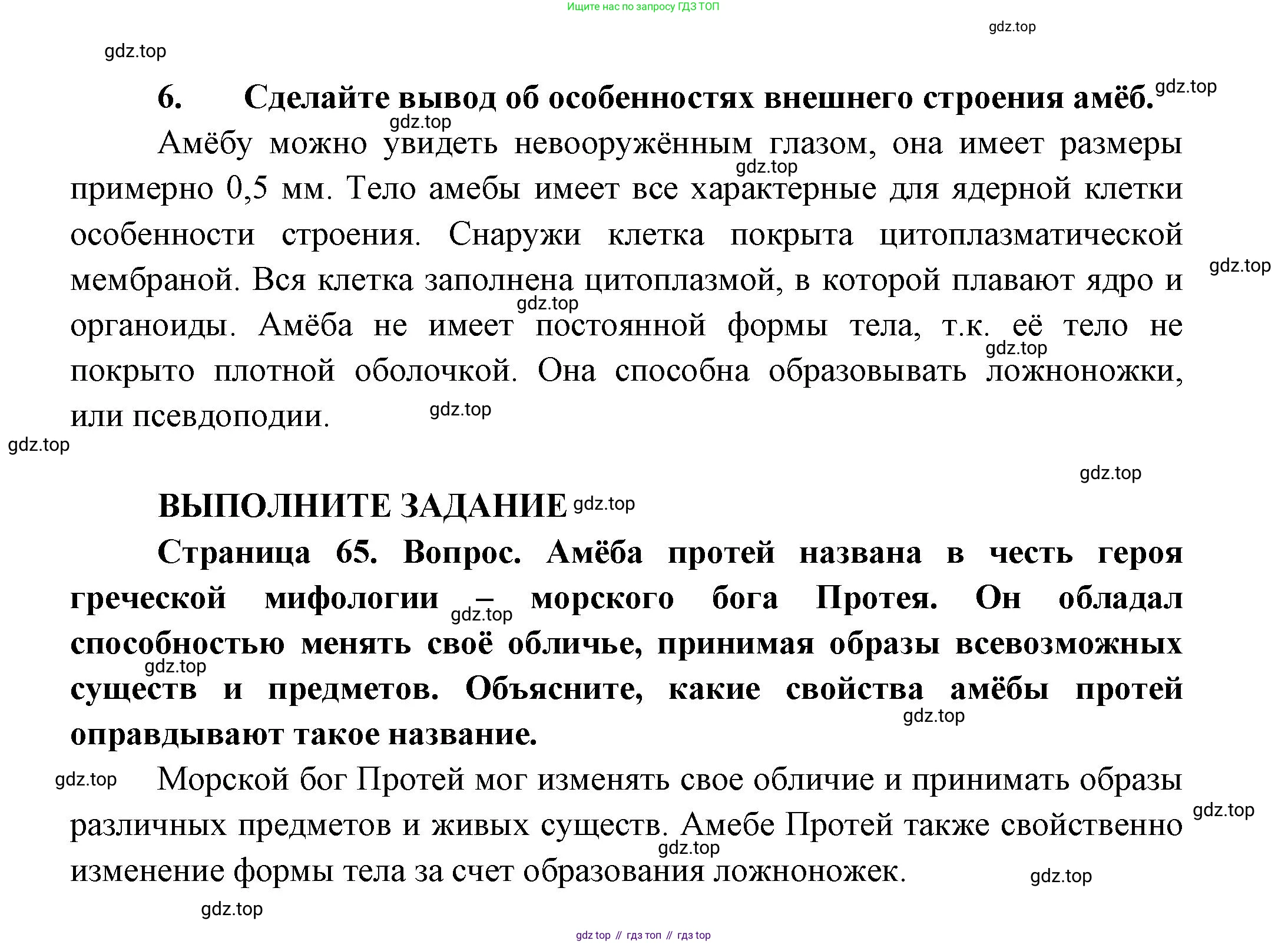 Биология, 8 класс Учебник, авторы: Пасечник Владимир Васильевич, Суматохин Сергей Витальевич, Гапонюк Зоя Георгиевна, издательство Просвещение, Москва, 2023, белого цвета, страница 65, Решение (продолжение 2)