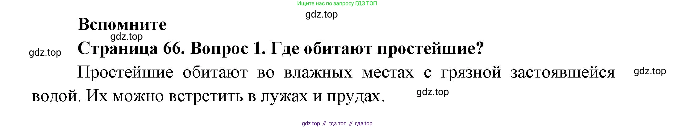 ГДЗ Биология, 8 класс Учебник, авторы: Пасечник Владимир Васильевич, Суматохин Сергей Витальевич, Гапонюк Зоя Георгиевна, издательство Просвещение, Москва, 2023, белого цвета, страница 66, номер 1, Решение