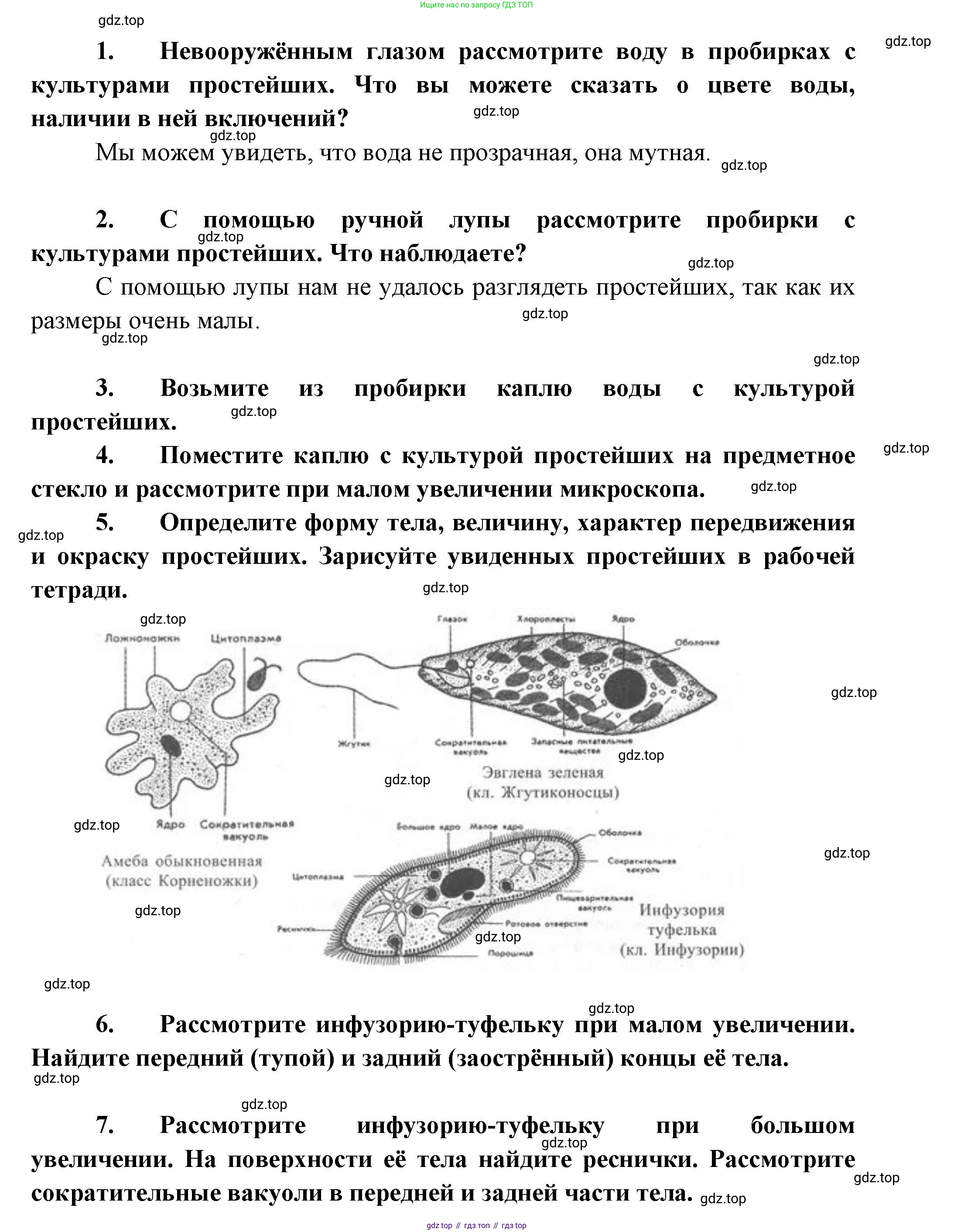 ГДЗ Биология, 8 класс Учебник, авторы: Пасечник Владимир Васильевич, Суматохин Сергей Витальевич, Гапонюк Зоя Георгиевна, издательство Просвещение, Москва, 2023, белого цвета, страница 69, Решение (продолжение 2)