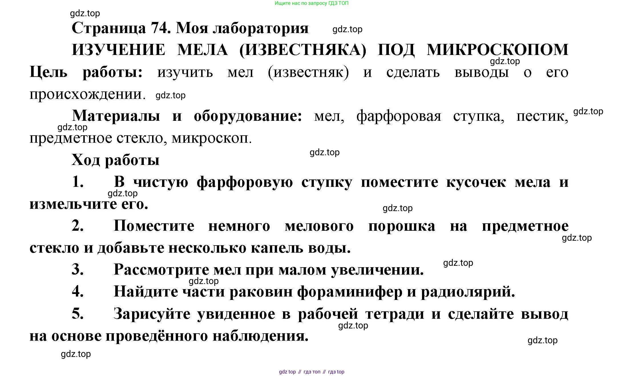 Биология, 8 класс Учебник, авторы: Пасечник Владимир Васильевич, Суматохин Сергей Витальевич, Гапонюк Зоя Георгиевна, издательство Просвещение, Москва, 2023, белого цвета, страница 74, Решение