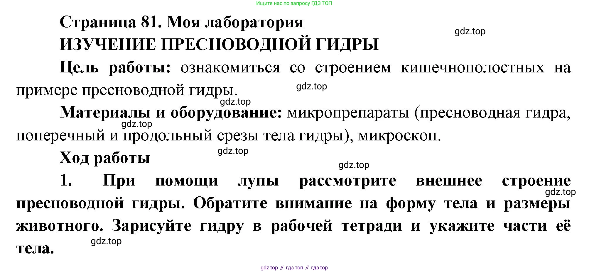 Биология, 8 класс Учебник, авторы: Пасечник Владимир Васильевич, Суматохин Сергей Витальевич, Гапонюк Зоя Георгиевна, издательство Просвещение, Москва, 2023, белого цвета, страница 81, Решение