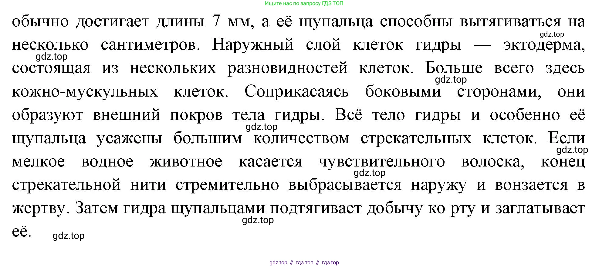 Биология, 8 класс Учебник, авторы: Пасечник Владимир Васильевич, Суматохин Сергей Витальевич, Гапонюк Зоя Георгиевна, издательство Просвещение, Москва, 2023, белого цвета, страница 81, Решение (продолжение 3)