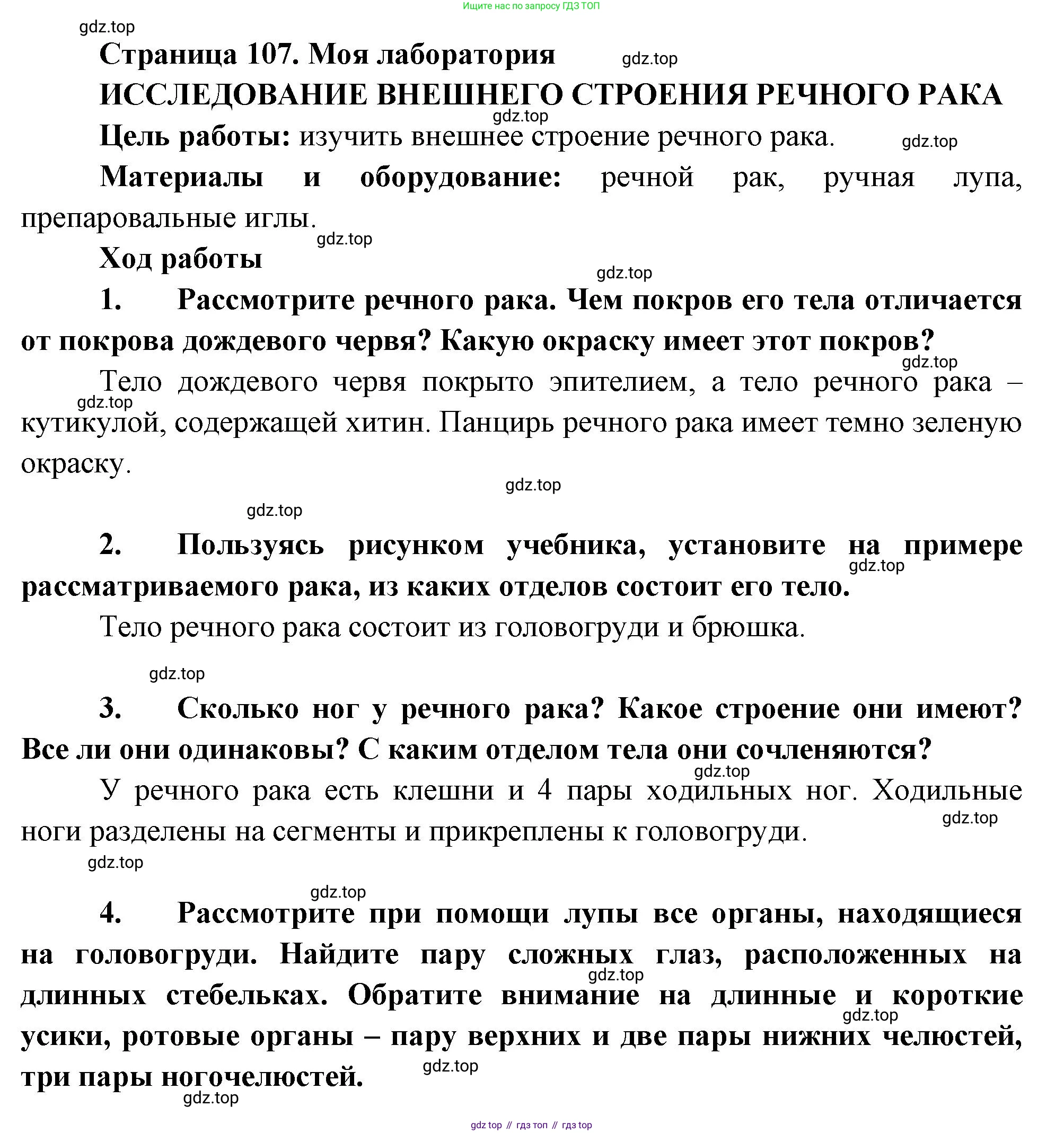 ГДЗ Биология, 8 класс Учебник, авторы: Пасечник Владимир Васильевич, Суматохин Сергей Витальевич, Гапонюк Зоя Георгиевна, издательство Просвещение, Москва, 2023, белого цвета, страница 107, Решение