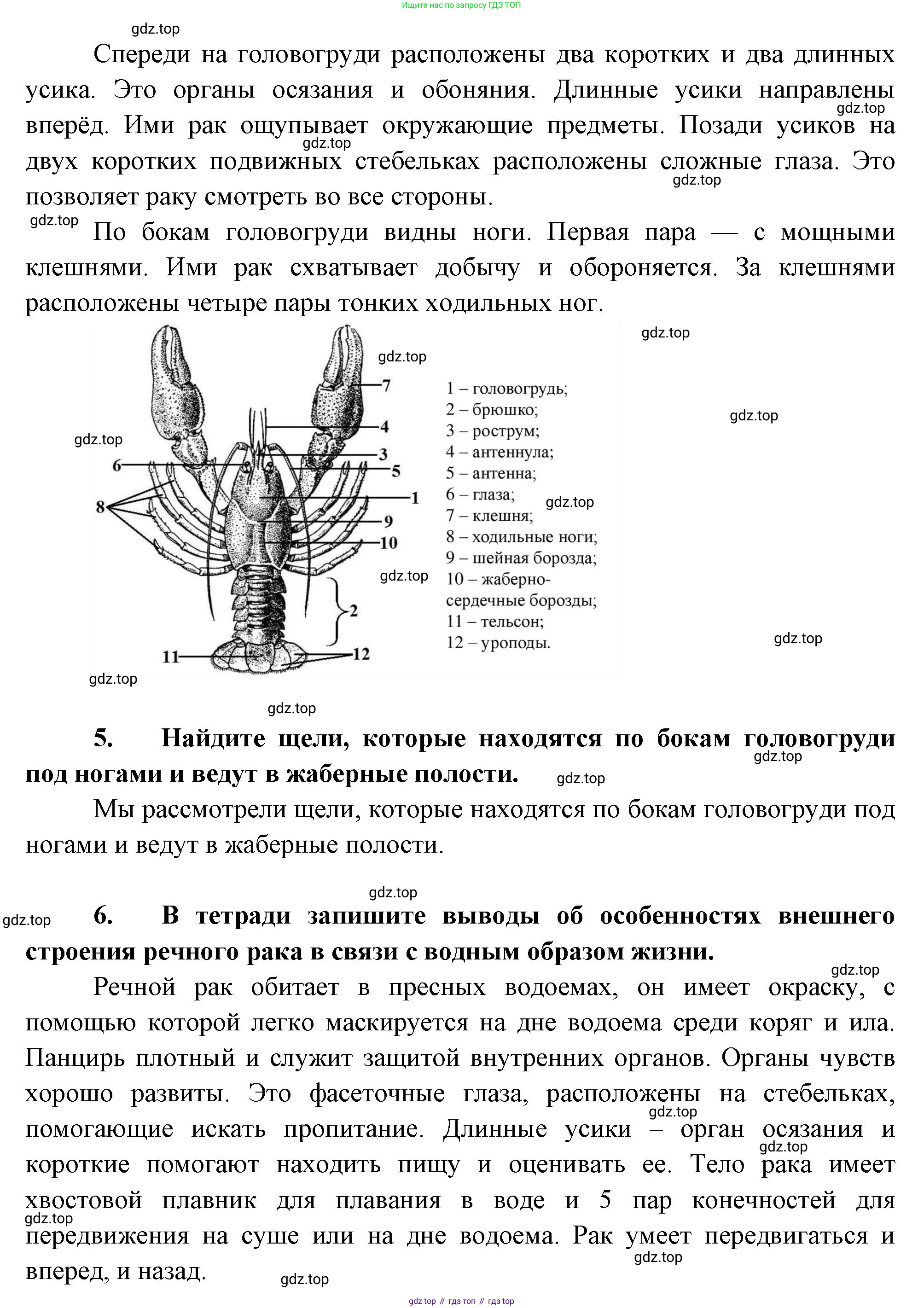 ГДЗ Биология, 8 класс Учебник, авторы: Пасечник Владимир Васильевич, Суматохин Сергей Витальевич, Гапонюк Зоя Георгиевна, издательство Просвещение, Москва, 2023, белого цвета, страница 107, Решение (продолжение 2)