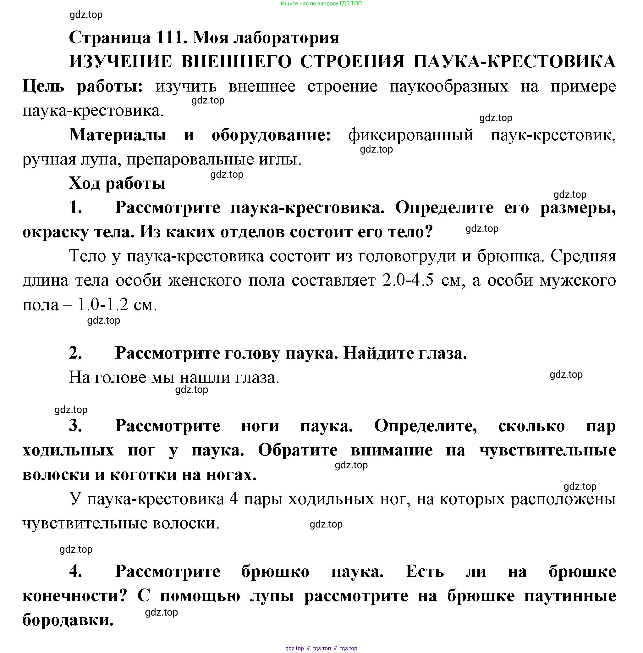 ГДЗ Биология, 8 класс Учебник, авторы: Пасечник Владимир Васильевич, Суматохин Сергей Витальевич, Гапонюк Зоя Георгиевна, издательство Просвещение, Москва, 2023, белого цвета, страница 111, Решение