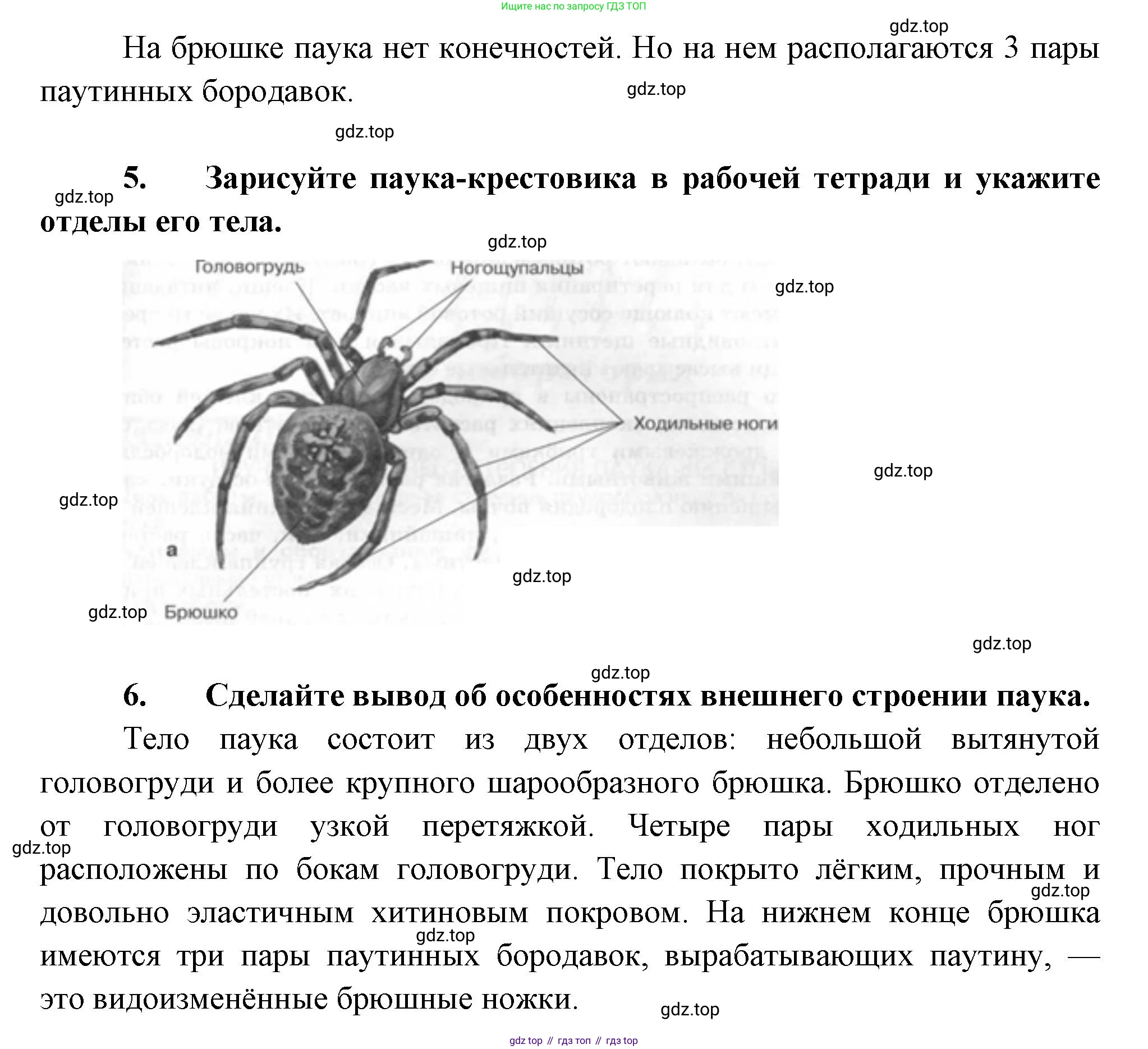 ГДЗ Биология, 8 класс Учебник, авторы: Пасечник Владимир Васильевич, Суматохин Сергей Витальевич, Гапонюк Зоя Георгиевна, издательство Просвещение, Москва, 2023, белого цвета, страница 111, Решение (продолжение 2)