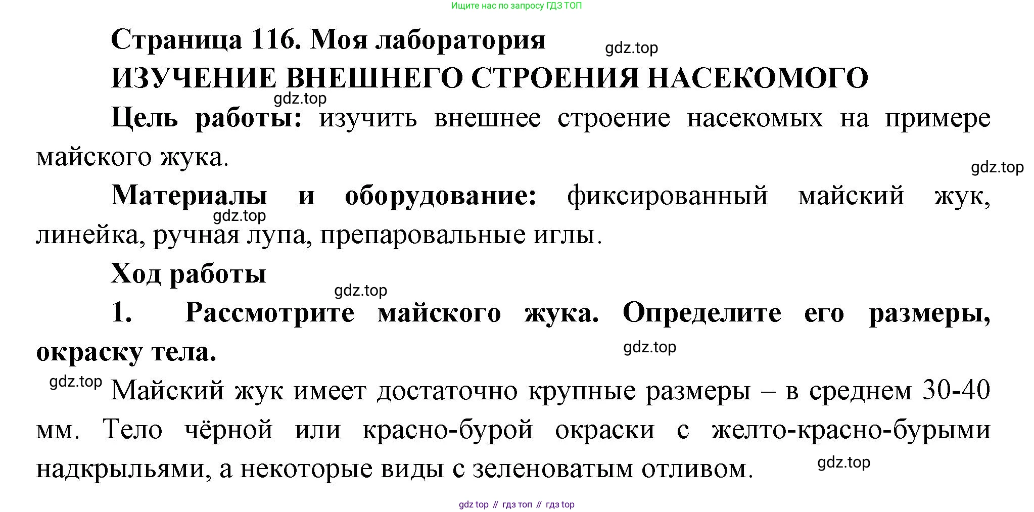 ГДЗ Биология, 8 класс Учебник, авторы: Пасечник Владимир Васильевич, Суматохин Сергей Витальевич, Гапонюк Зоя Георгиевна, издательство Просвещение, Москва, 2023, белого цвета, страница 116, Решение