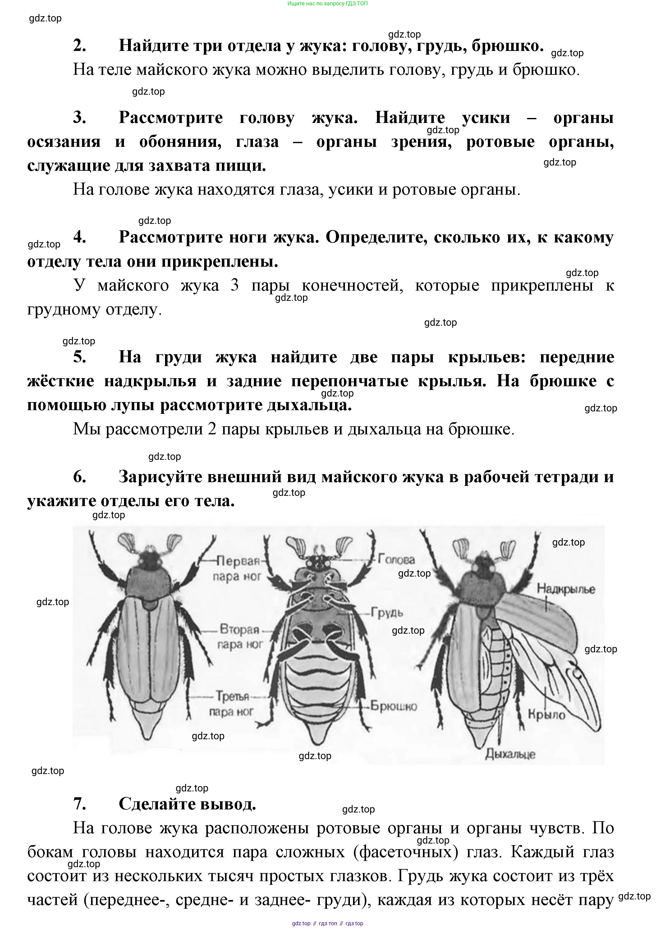 ГДЗ Биология, 8 класс Учебник, авторы: Пасечник Владимир Васильевич, Суматохин Сергей Витальевич, Гапонюк Зоя Георгиевна, издательство Просвещение, Москва, 2023, белого цвета, страница 116, Решение (продолжение 2)