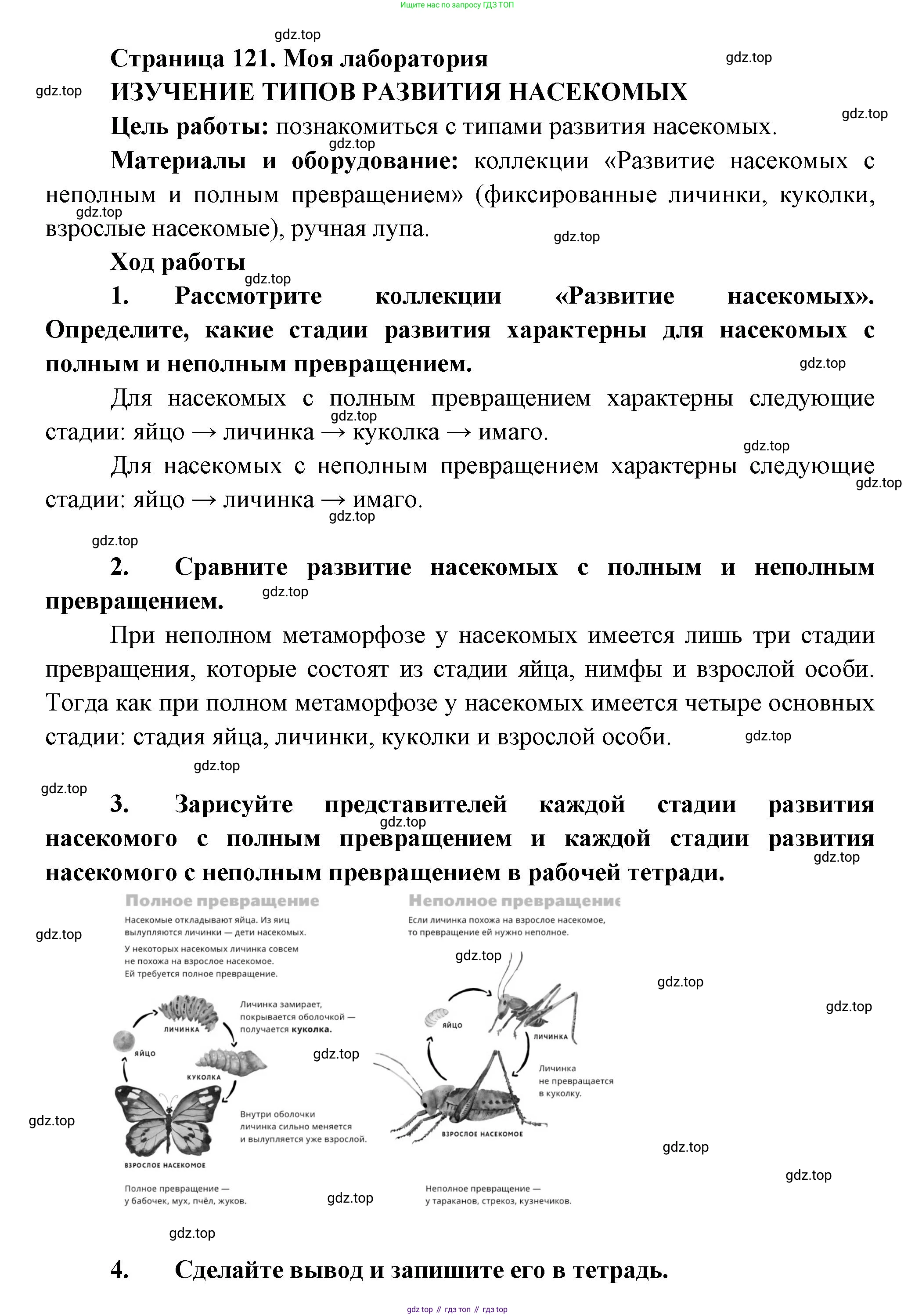 ГДЗ Биология, 8 класс Учебник, авторы: Пасечник Владимир Васильевич, Суматохин Сергей Витальевич, Гапонюк Зоя Георгиевна, издательство Просвещение, Москва, 2023, белого цвета, страница 121, Решение