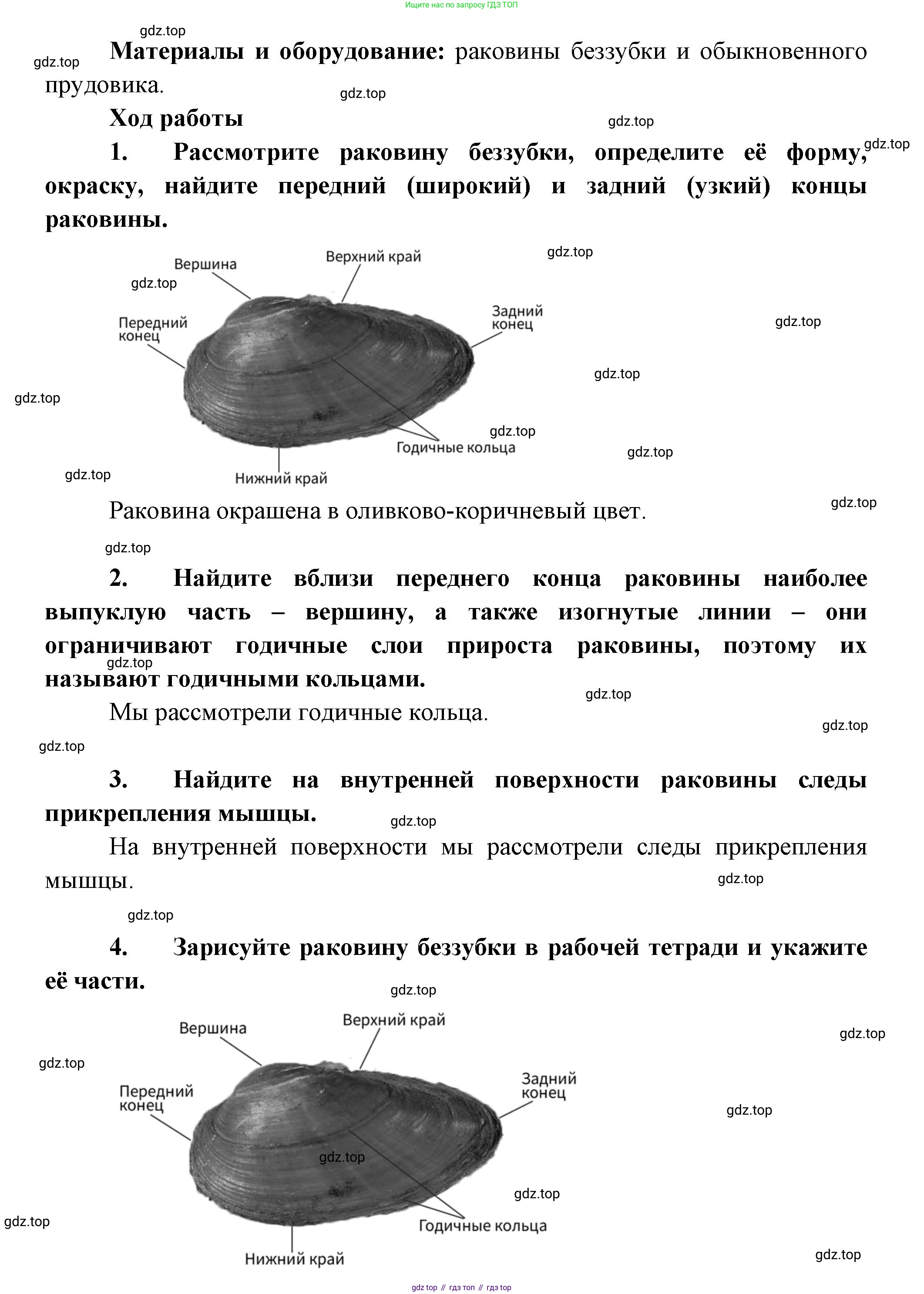 Биология, 8 класс Учебник, авторы: Пасечник Владимир Васильевич, Суматохин Сергей Витальевич, Гапонюк Зоя Георгиевна, издательство Просвещение, Москва, 2023, белого цвета, страница 131, Решение (продолжение 2)