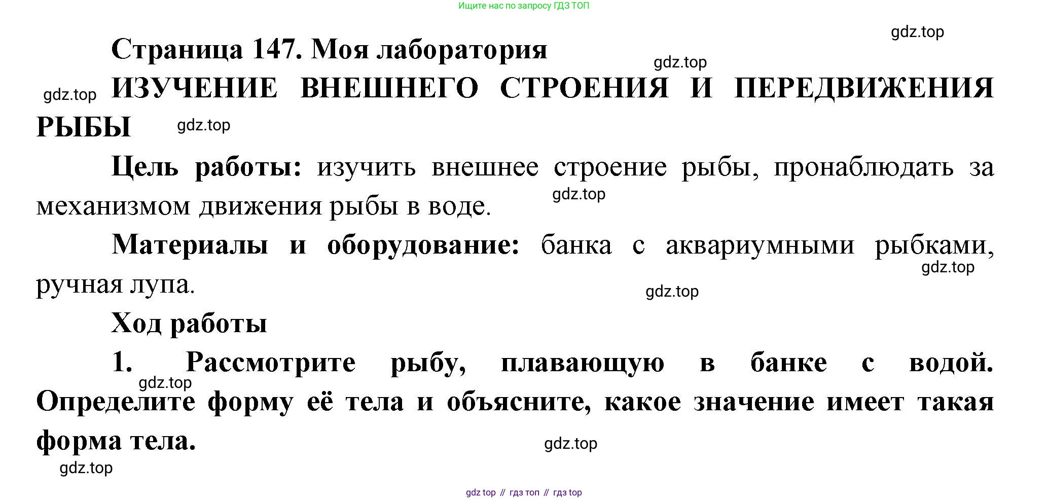 ГДЗ Биология, 8 класс Учебник, авторы: Пасечник Владимир Васильевич, Суматохин Сергей Витальевич, Гапонюк Зоя Георгиевна, издательство Просвещение, Москва, 2023, белого цвета, страница 147, Решение