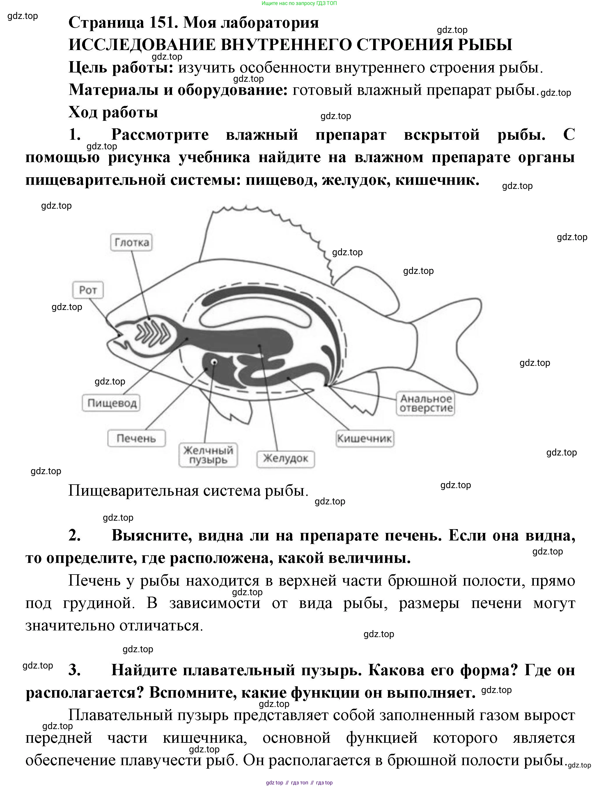 Биология, 8 класс Учебник, авторы: Пасечник Владимир Васильевич, Суматохин Сергей Витальевич, Гапонюк Зоя Георгиевна, издательство Просвещение, Москва, 2023, белого цвета, страница 151, Решение