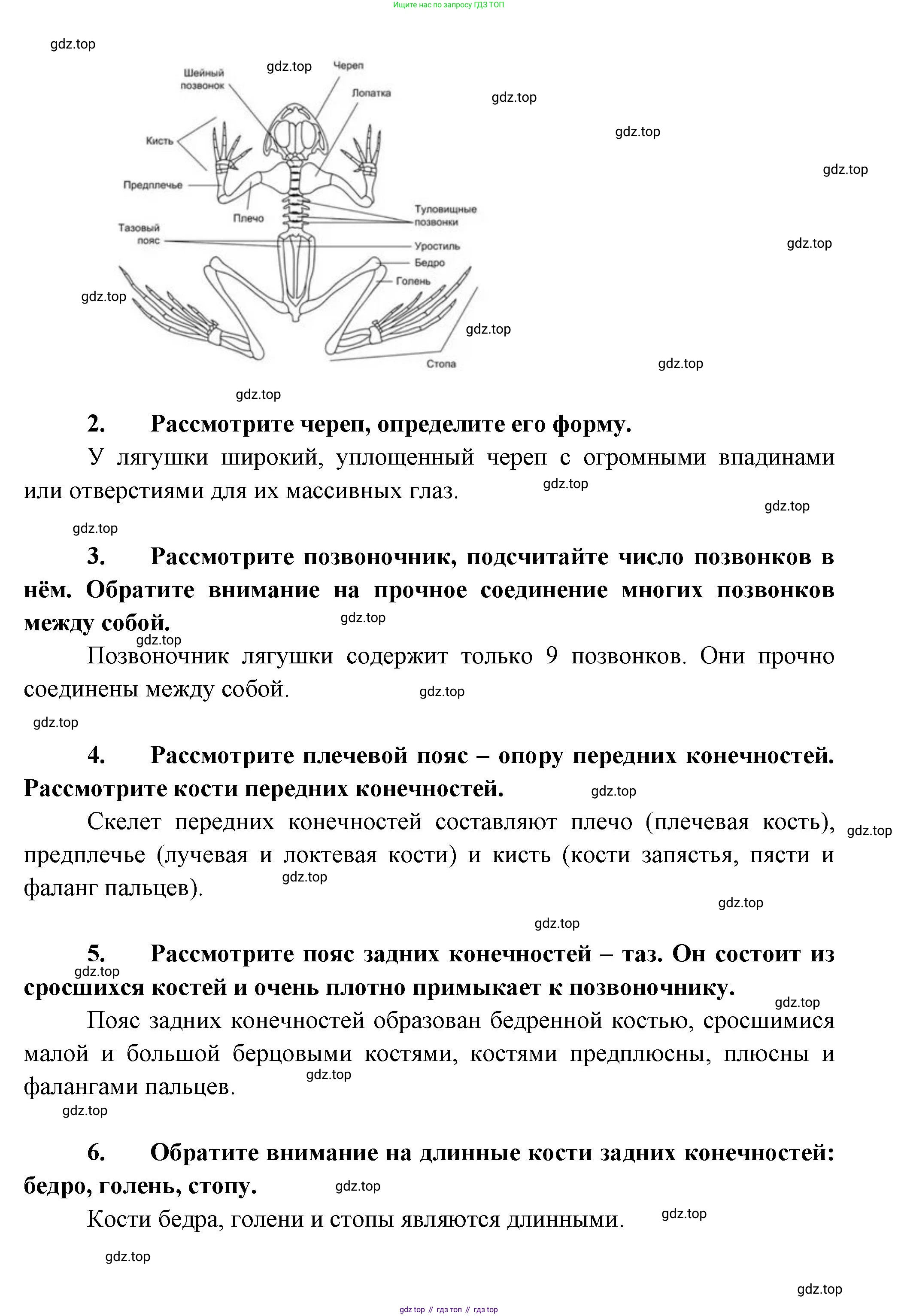 Биология, 8 класс Учебник, авторы: Пасечник Владимир Васильевич, Суматохин Сергей Витальевич, Гапонюк Зоя Георгиевна, издательство Просвещение, Москва, 2023, белого цвета, страница 162, Решение (продолжение 3)
