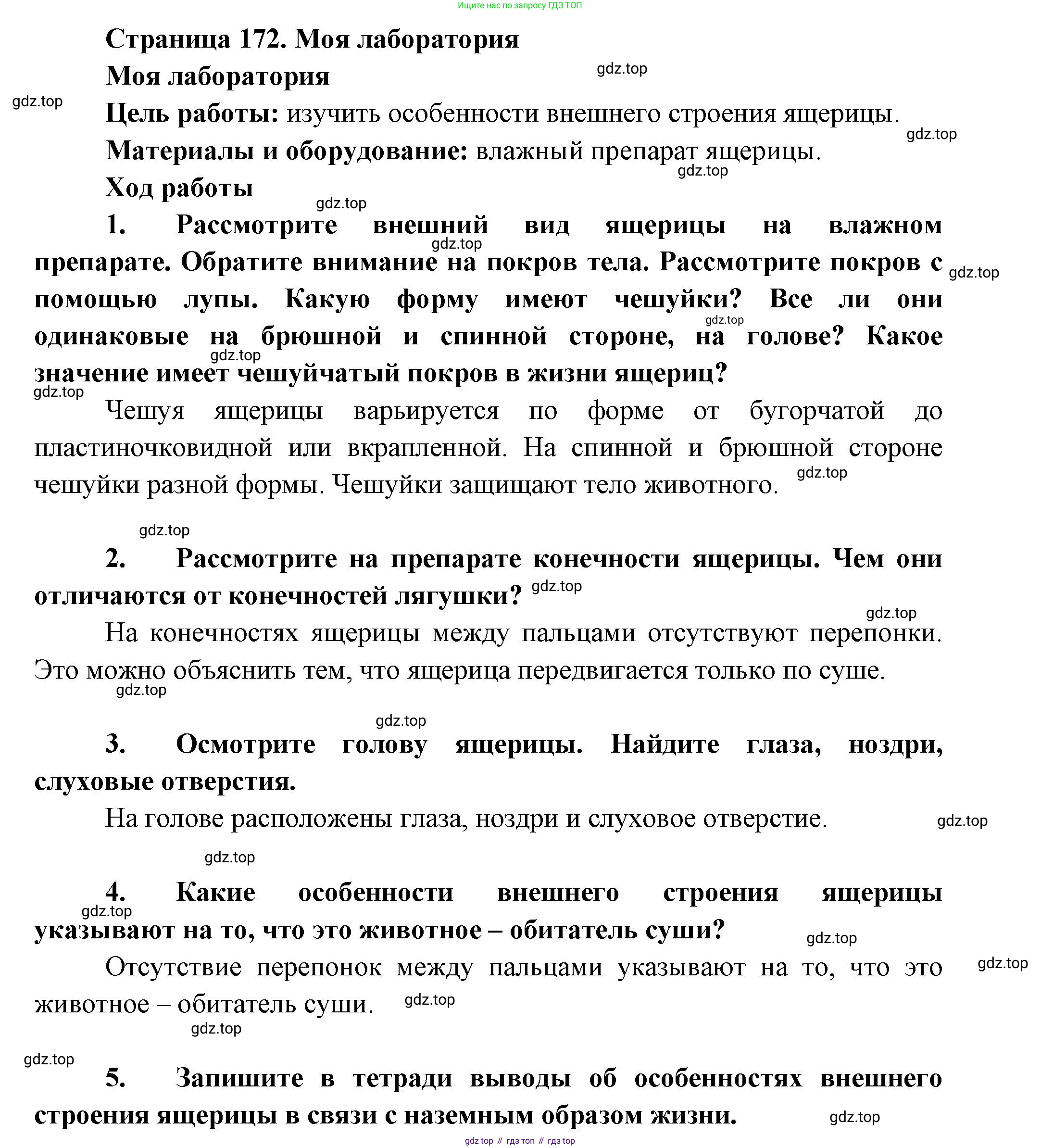 Биология, 8 класс Учебник, авторы: Пасечник Владимир Васильевич, Суматохин Сергей Витальевич, Гапонюк Зоя Георгиевна, издательство Просвещение, Москва, 2023, белого цвета, страница 172, Решение