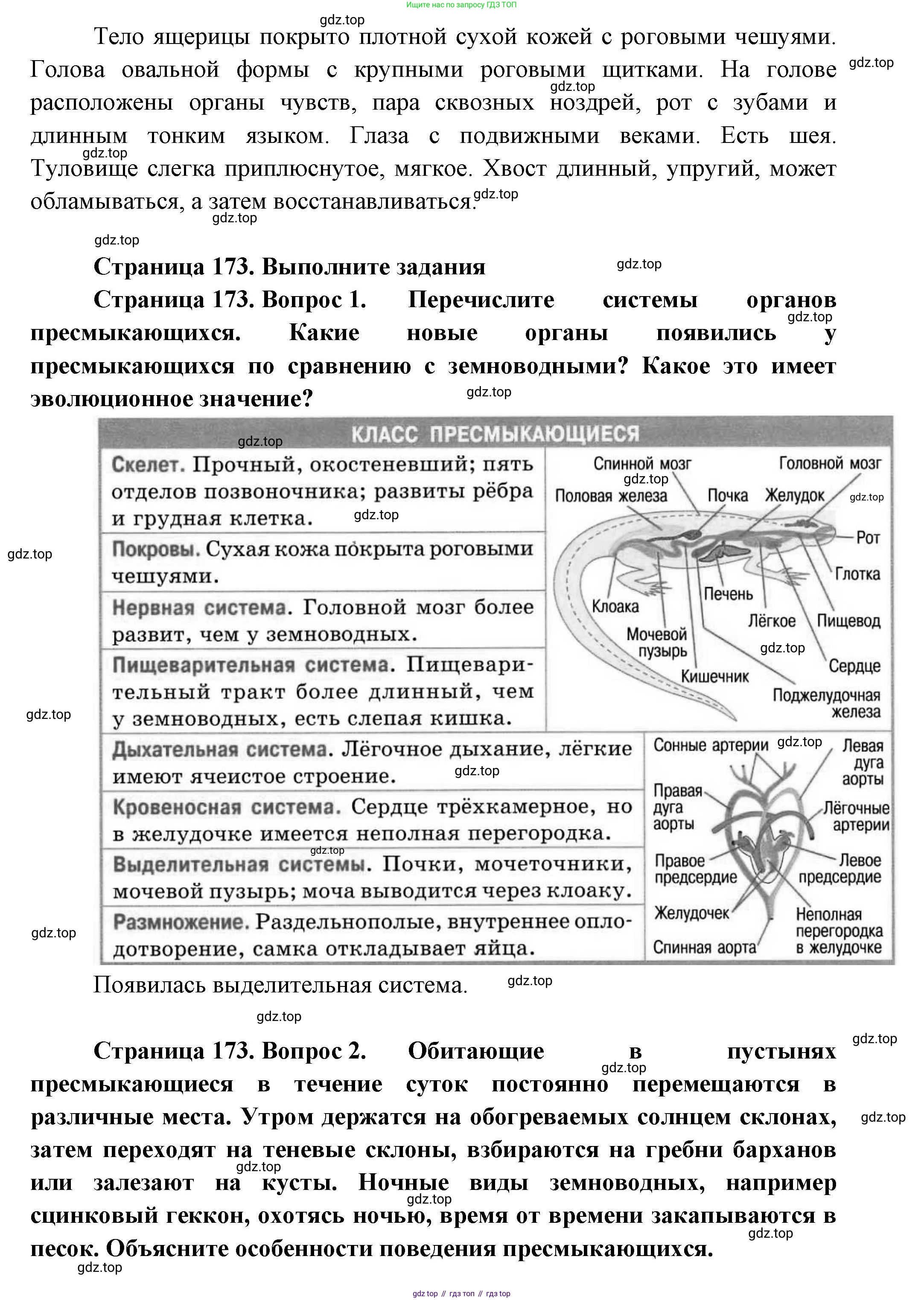 Биология, 8 класс Учебник, авторы: Пасечник Владимир Васильевич, Суматохин Сергей Витальевич, Гапонюк Зоя Георгиевна, издательство Просвещение, Москва, 2023, белого цвета, страница 172, Решение (продолжение 2)