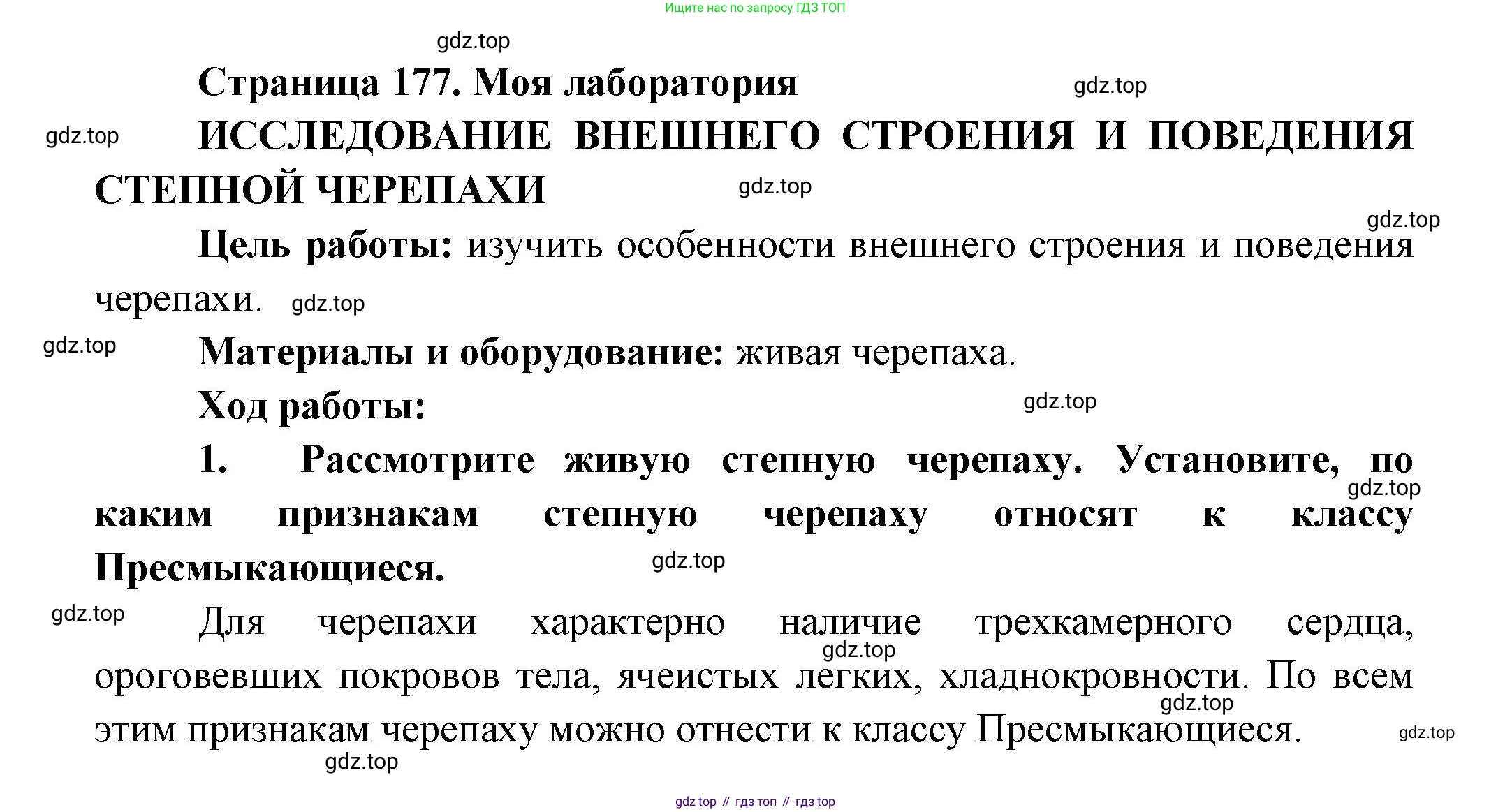 ГДЗ Биология, 8 класс Учебник, авторы: Пасечник Владимир Васильевич, Суматохин Сергей Витальевич, Гапонюк Зоя Георгиевна, издательство Просвещение, Москва, 2023, белого цвета, страница 177, Решение