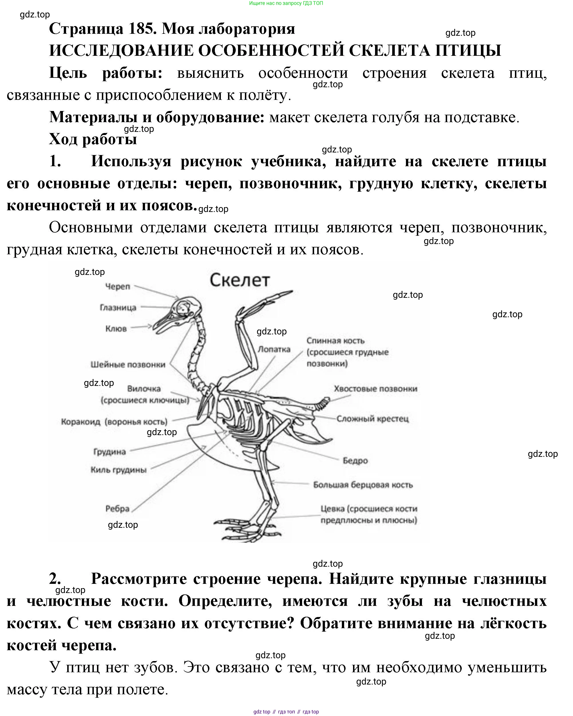 Биология, 8 класс Учебник, авторы: Пасечник Владимир Васильевич, Суматохин Сергей Витальевич, Гапонюк Зоя Георгиевна, издательство Просвещение, Москва, 2023, белого цвета, страница 185, Решение