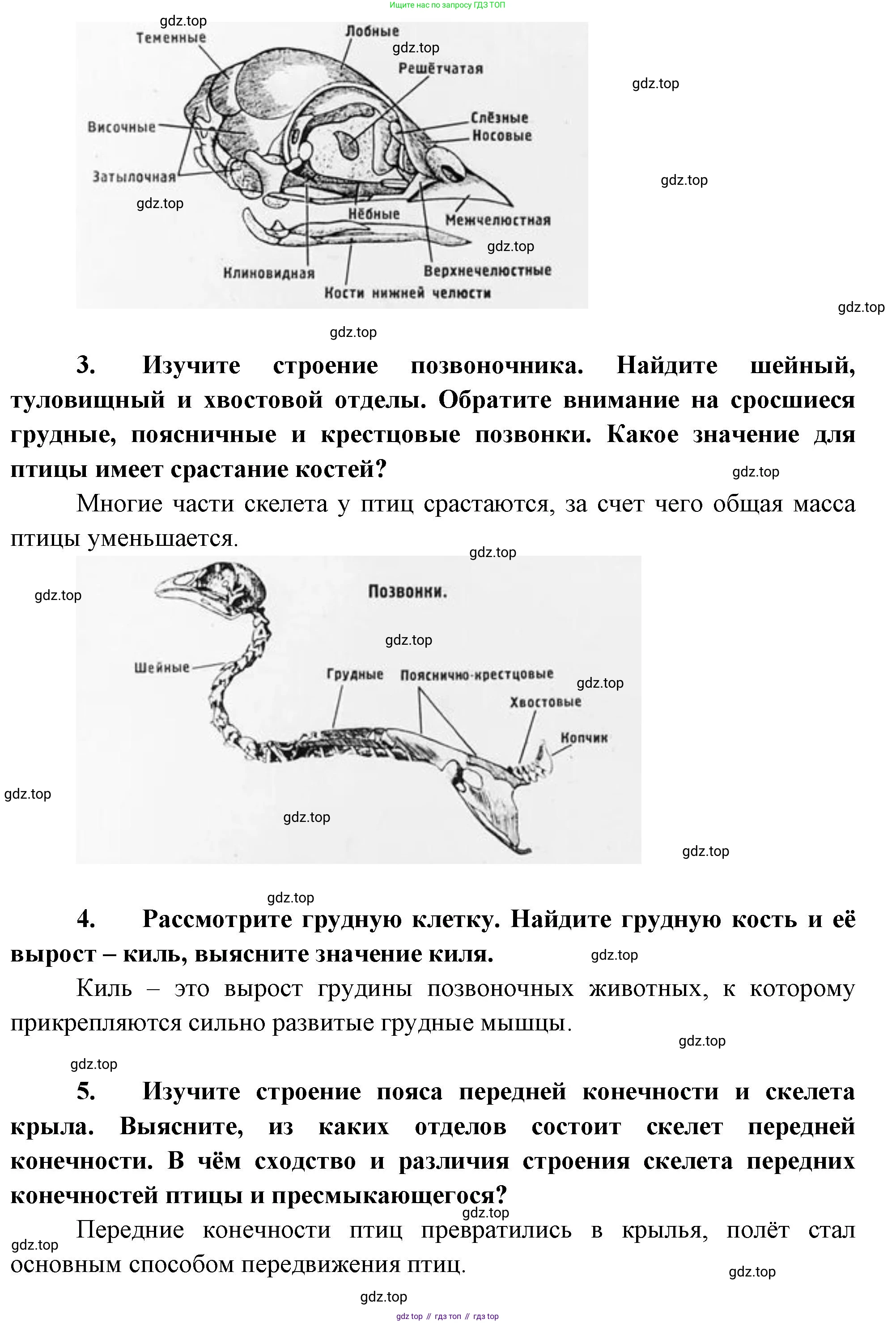 Биология, 8 класс Учебник, авторы: Пасечник Владимир Васильевич, Суматохин Сергей Витальевич, Гапонюк Зоя Георгиевна, издательство Просвещение, Москва, 2023, белого цвета, страница 185, Решение (продолжение 2)